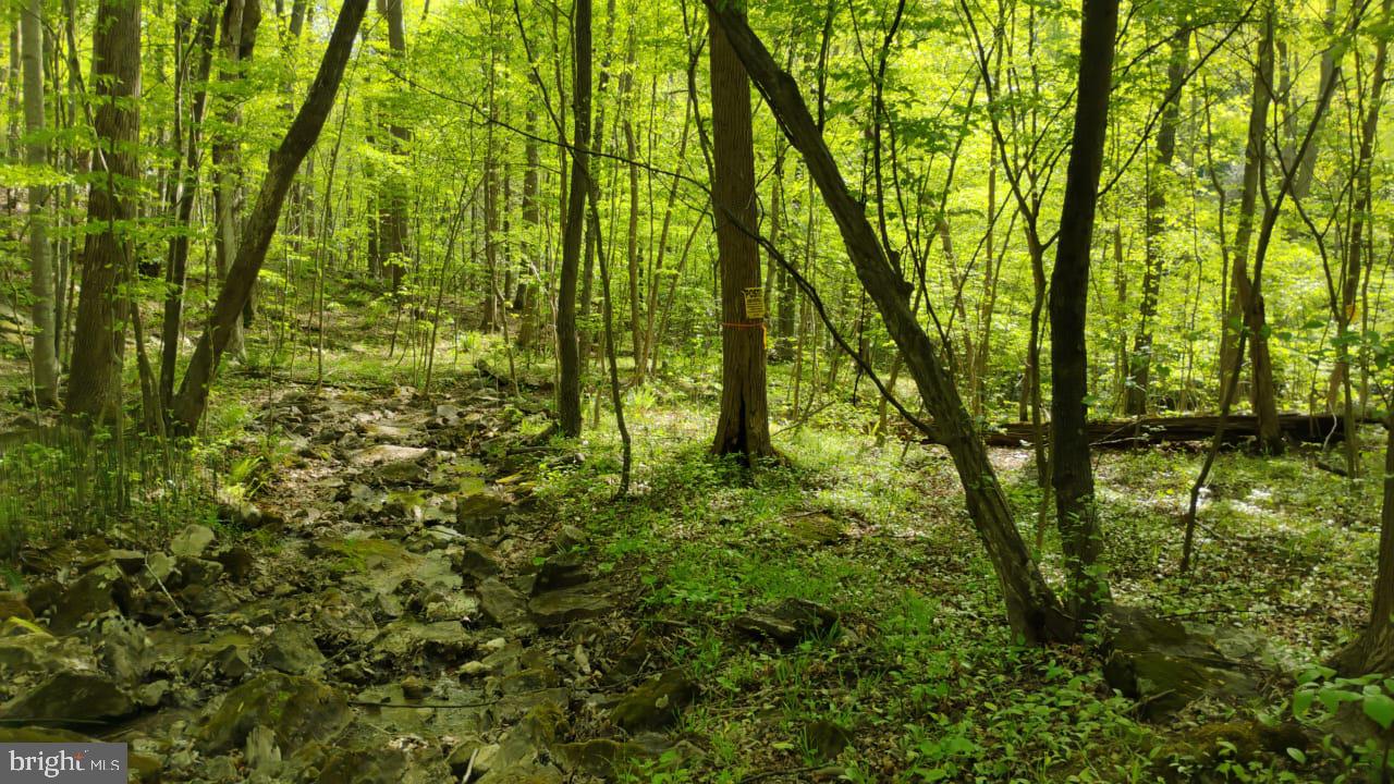 This unique, unrestricted waterfront property offers an incredible opportunity for both privacy and convenience, situated only 2 miles from downtown Berkeley Springs. A rare find, the land features no nearby homes and is surrounded by larger parcels, providing a secluded, tranquil retreat with a remote feel. The property boasts three distinct areas that make it truly one-of-a-kind. Level Entry Area: A flat, easily accessible space (approximately 1/8-1/4 of an acre) at the entrance that leads to the top of a large rock outcropping. The elevated vantage point feels like a treehouse, offering stunning views. Trails & Rock Formations: Two trails to the right lead to an impressive overhanging rock formation, scattered boulders, a mix of pine and deciduous trees, and the soothing sounds of Sir Johns Run that is just beyond the property. A peaceful, rocky stream runs through a flatter section of the property during most months of the year, with tall deciduous trees providing a cool, shaded retreat. Perfect for relaxation and privacy. This versatile property offers a variety of possibilities for your vision. Whether you’re interested in building your dream home (traditional, modern, tiny house, or elevated home), or simply escaping to nature, the potential is limitless. Please note: No perc on file for this property but test has been ordered. Trails down to the water are steep. The property is gated, so please contact a real estate agent to schedule a showing.