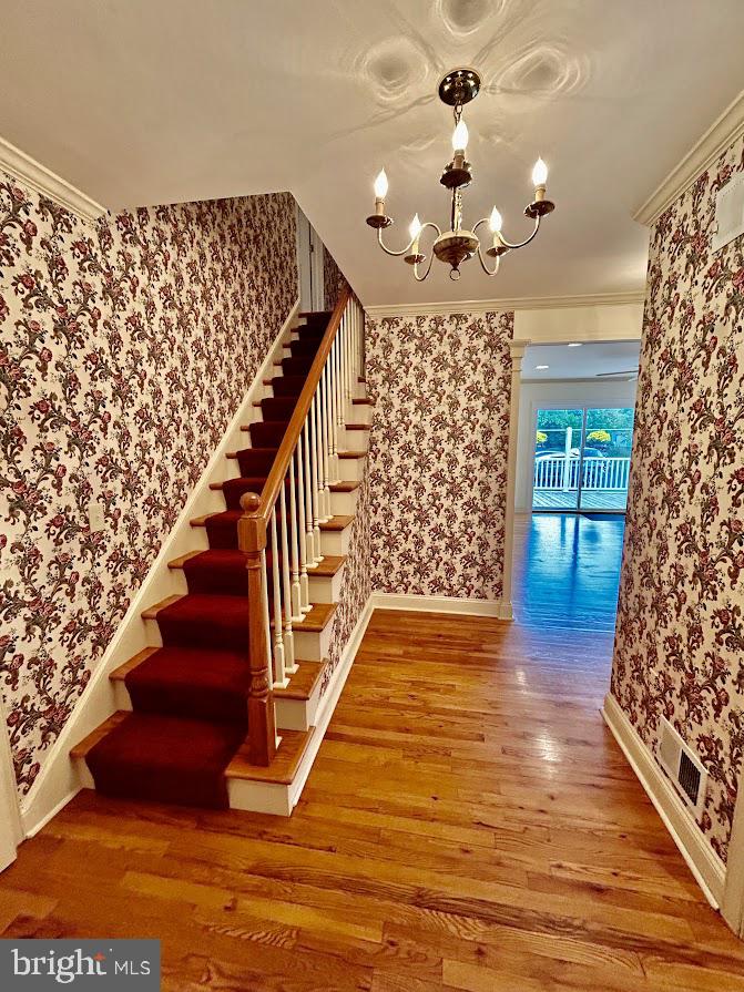 ELMWOOD TERR - Residential