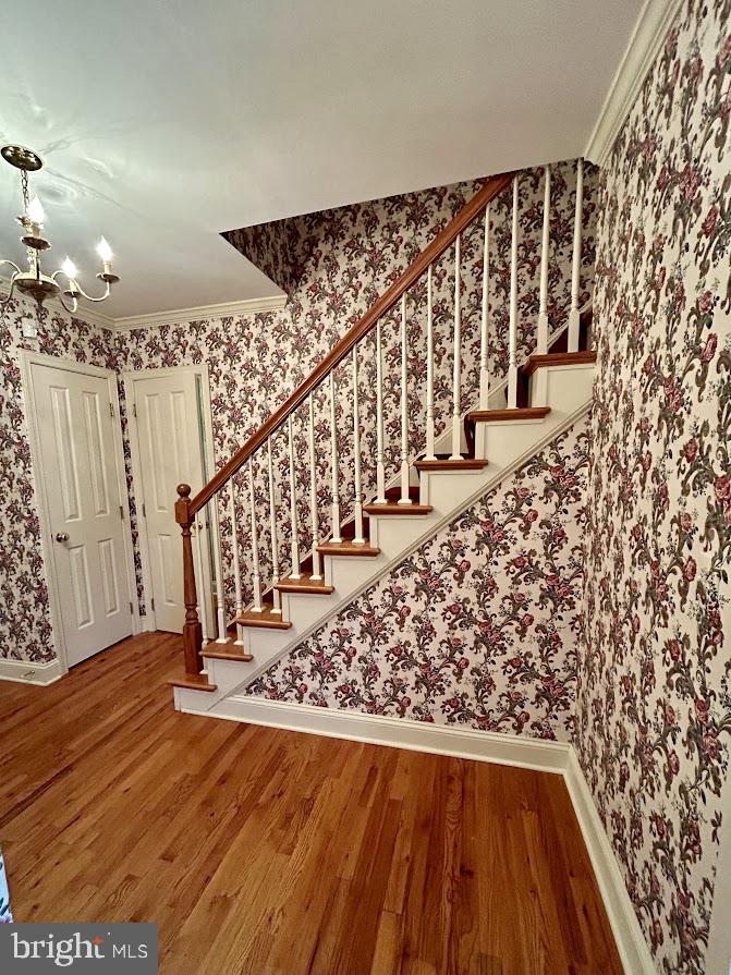 ELMWOOD TERR - Residential