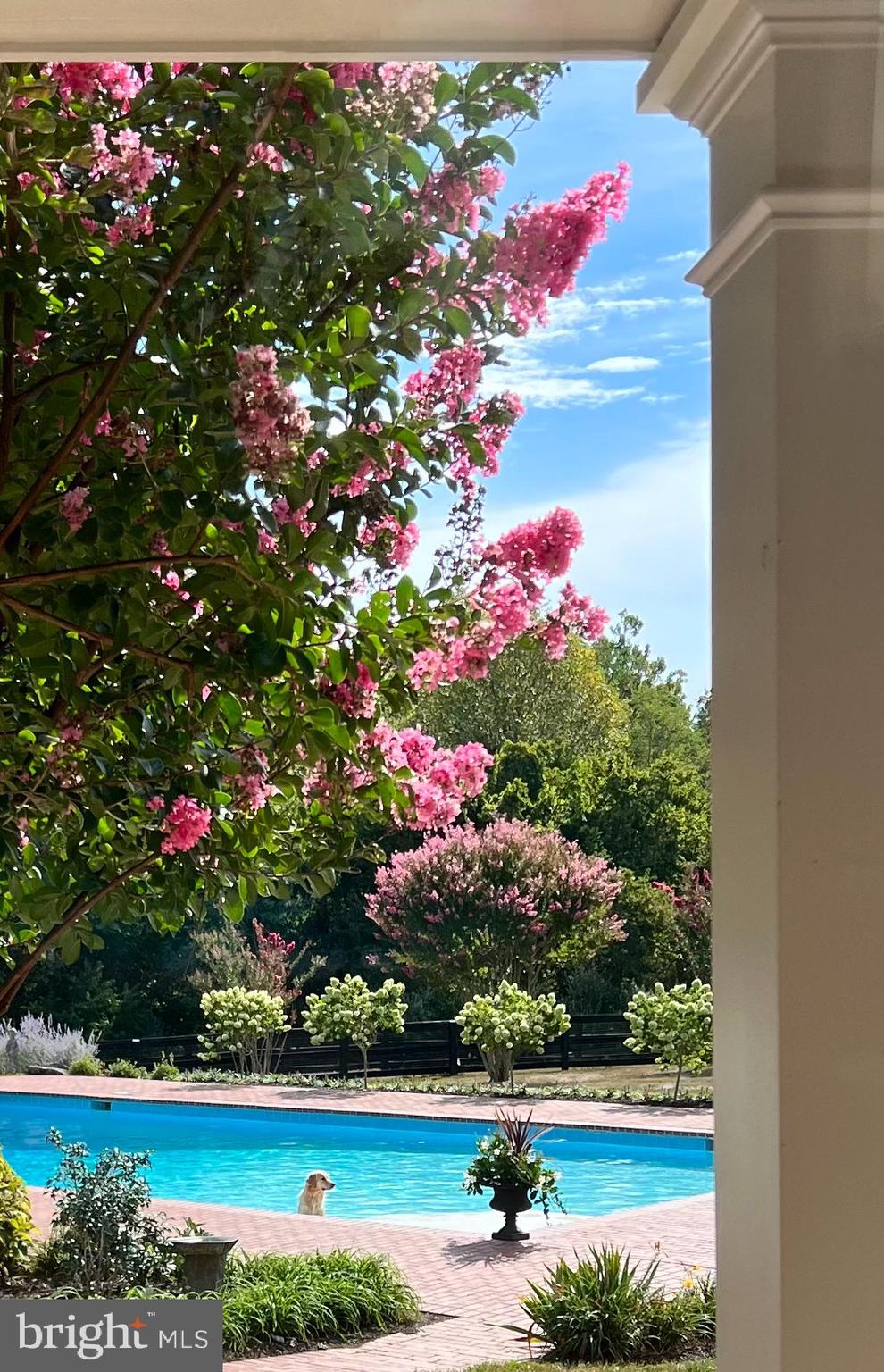 PHILOMONT - Residential