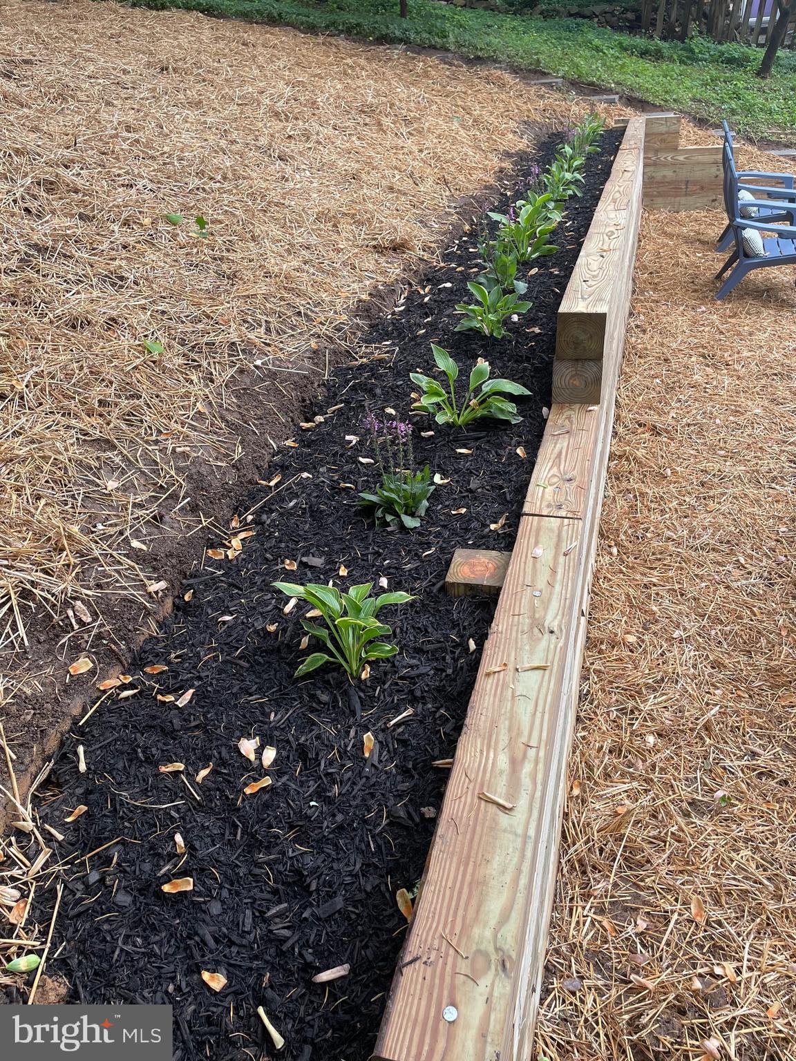 SOUTHLAND HILLS - Residential