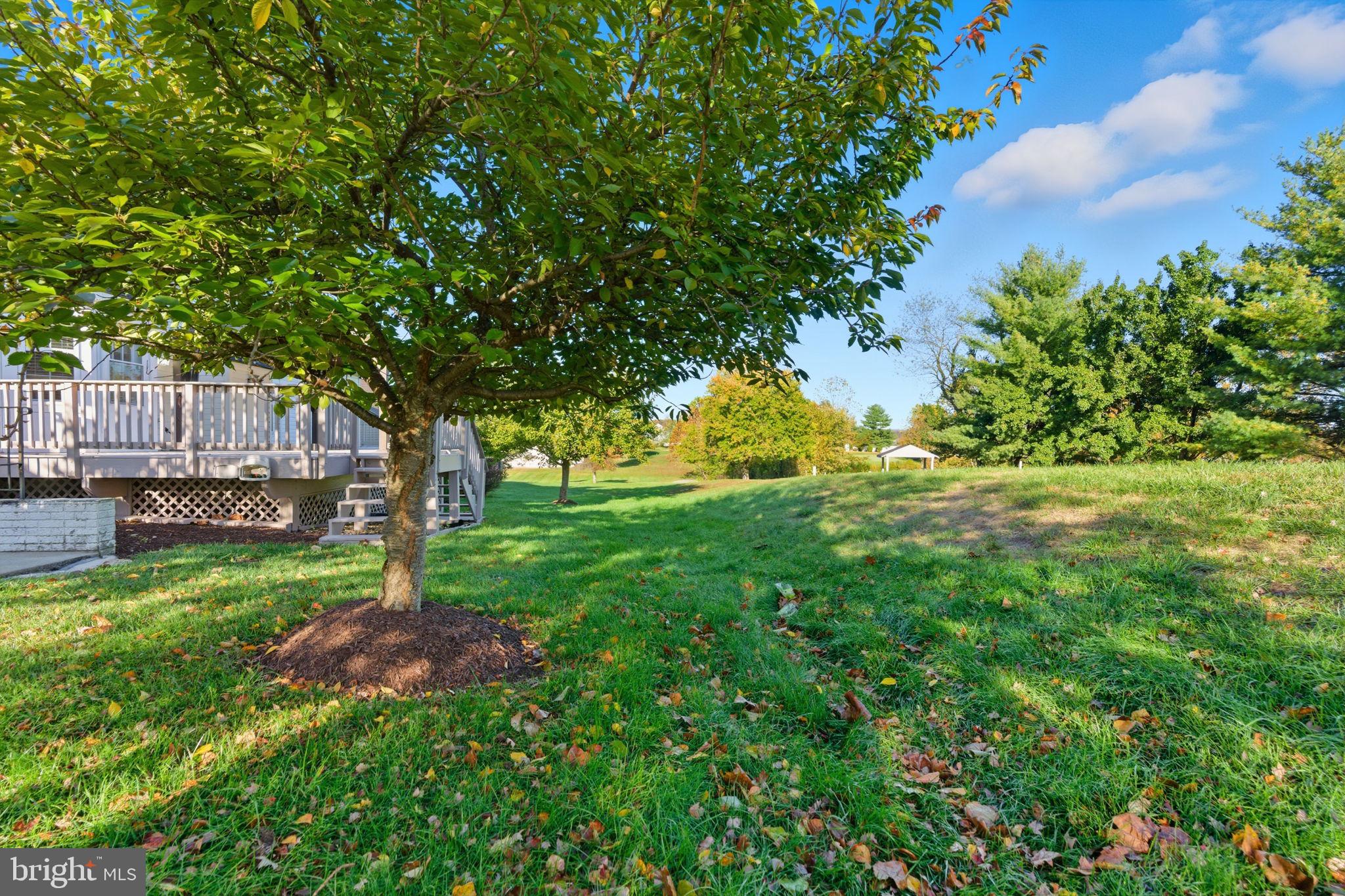 STONEBRIDGE - Residential