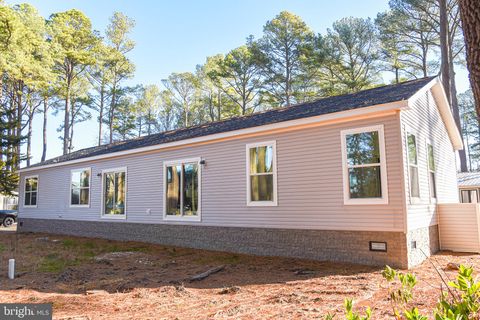 36904 BEACH PLUM ROW 2 LONG NECK DE 19966