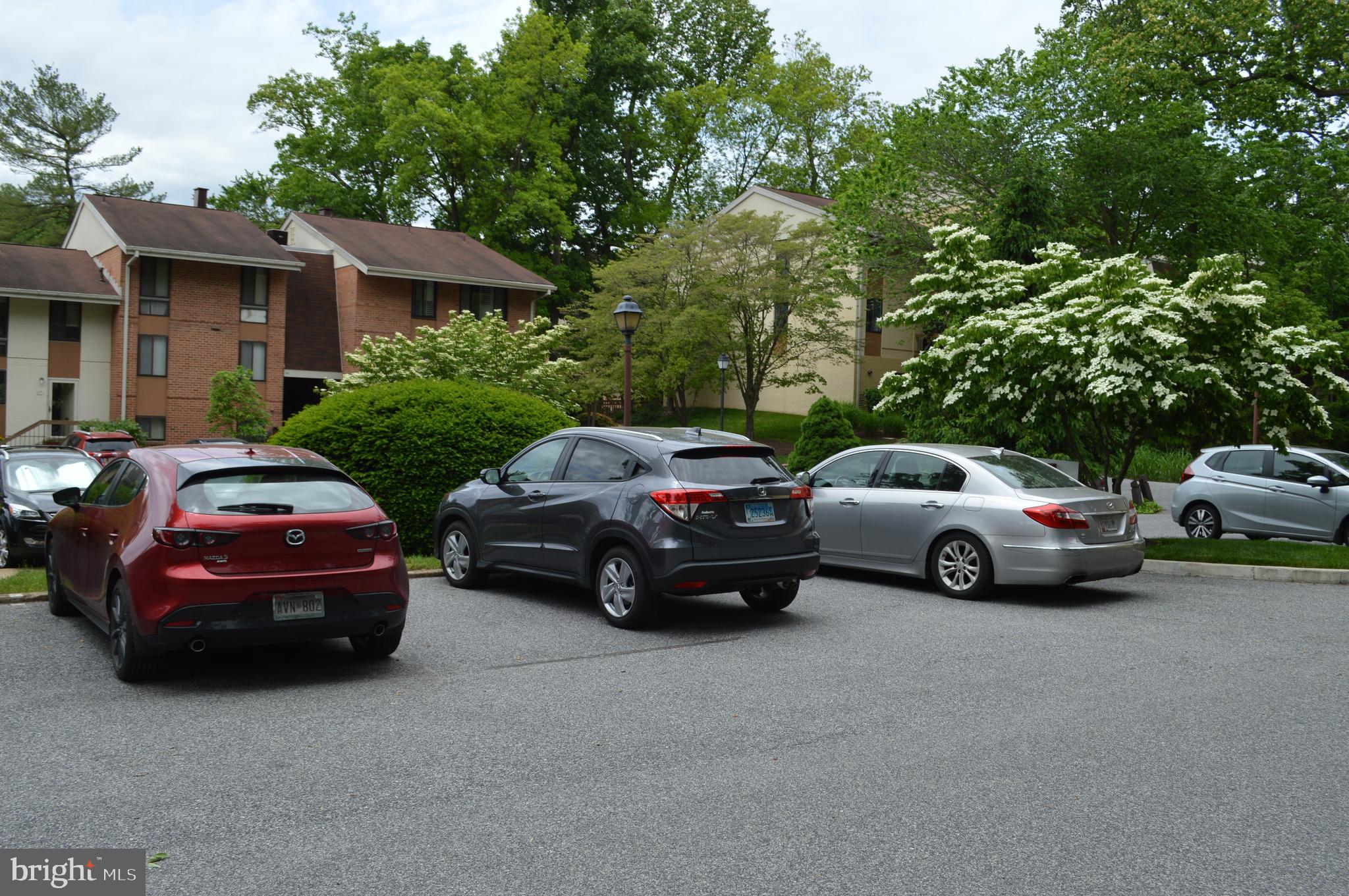 CROSS KEYS - Residential Lease