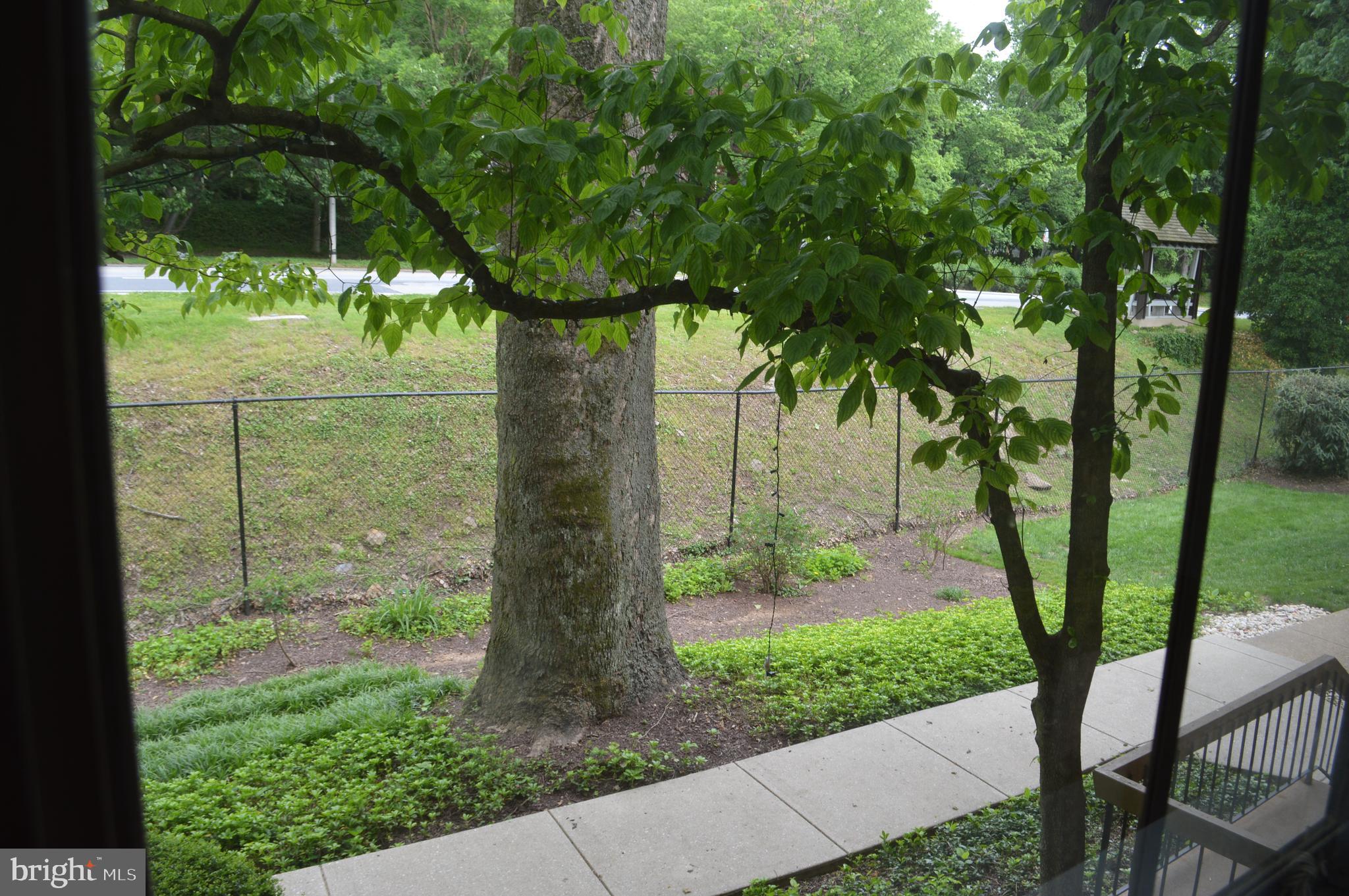 CROSS KEYS - Residential Lease