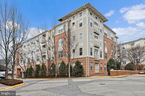 9480 VIRGINIA CENTER BOULEVARD 210 VIENNA VA 22181