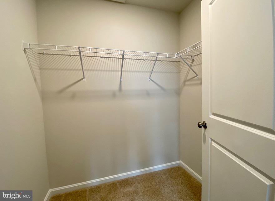 MAGNOLIA SPRINGS - Residential