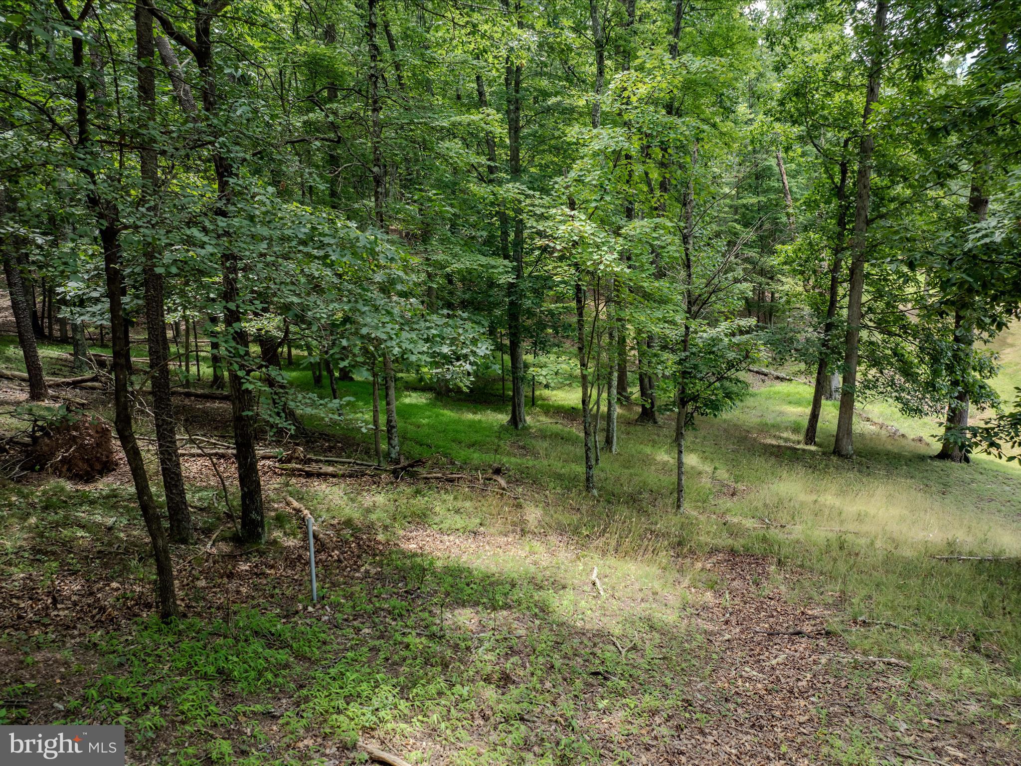 SLEEPY CREEK FARMS - Land