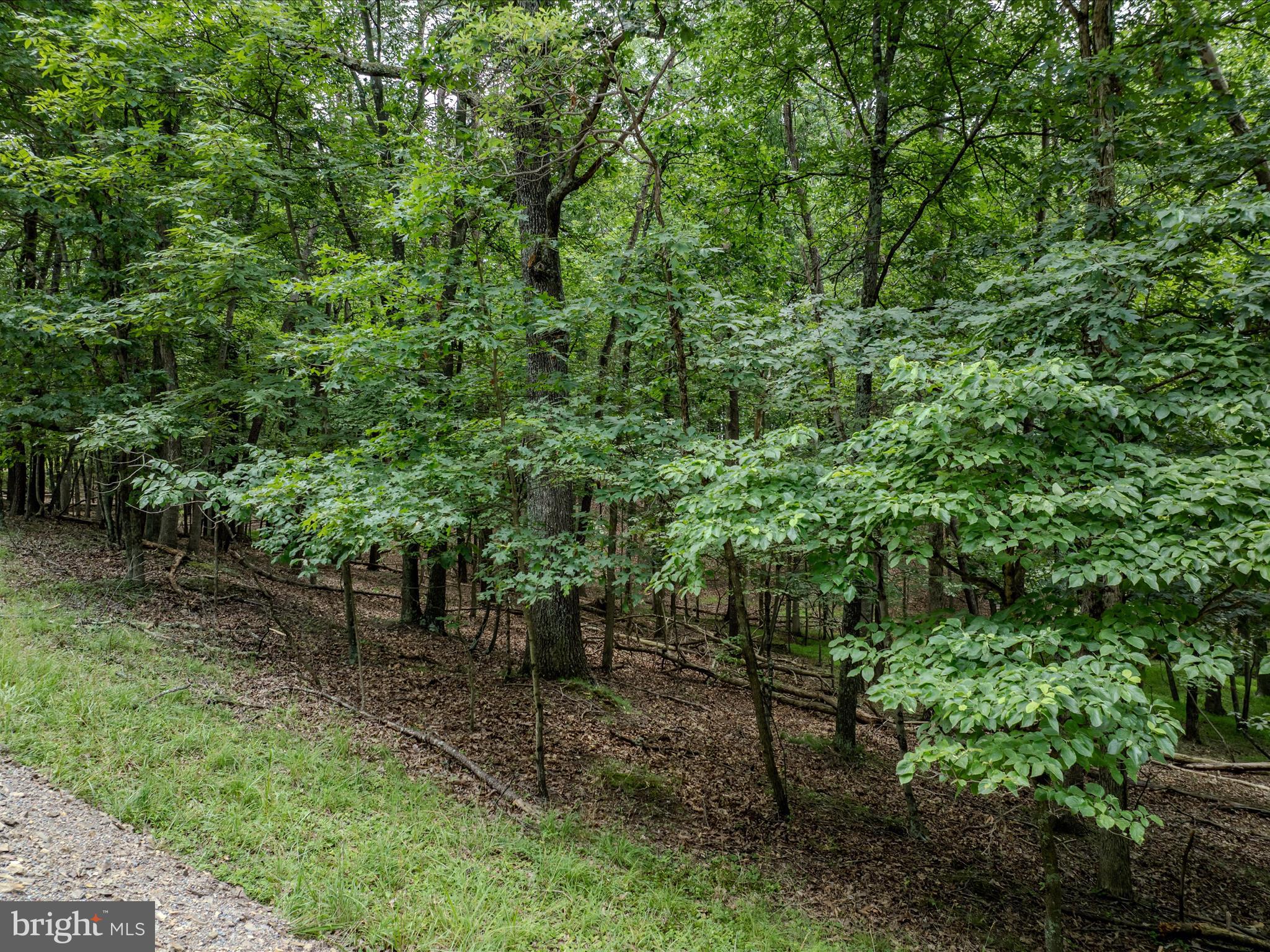 148 PONDS COURT LOT 6
