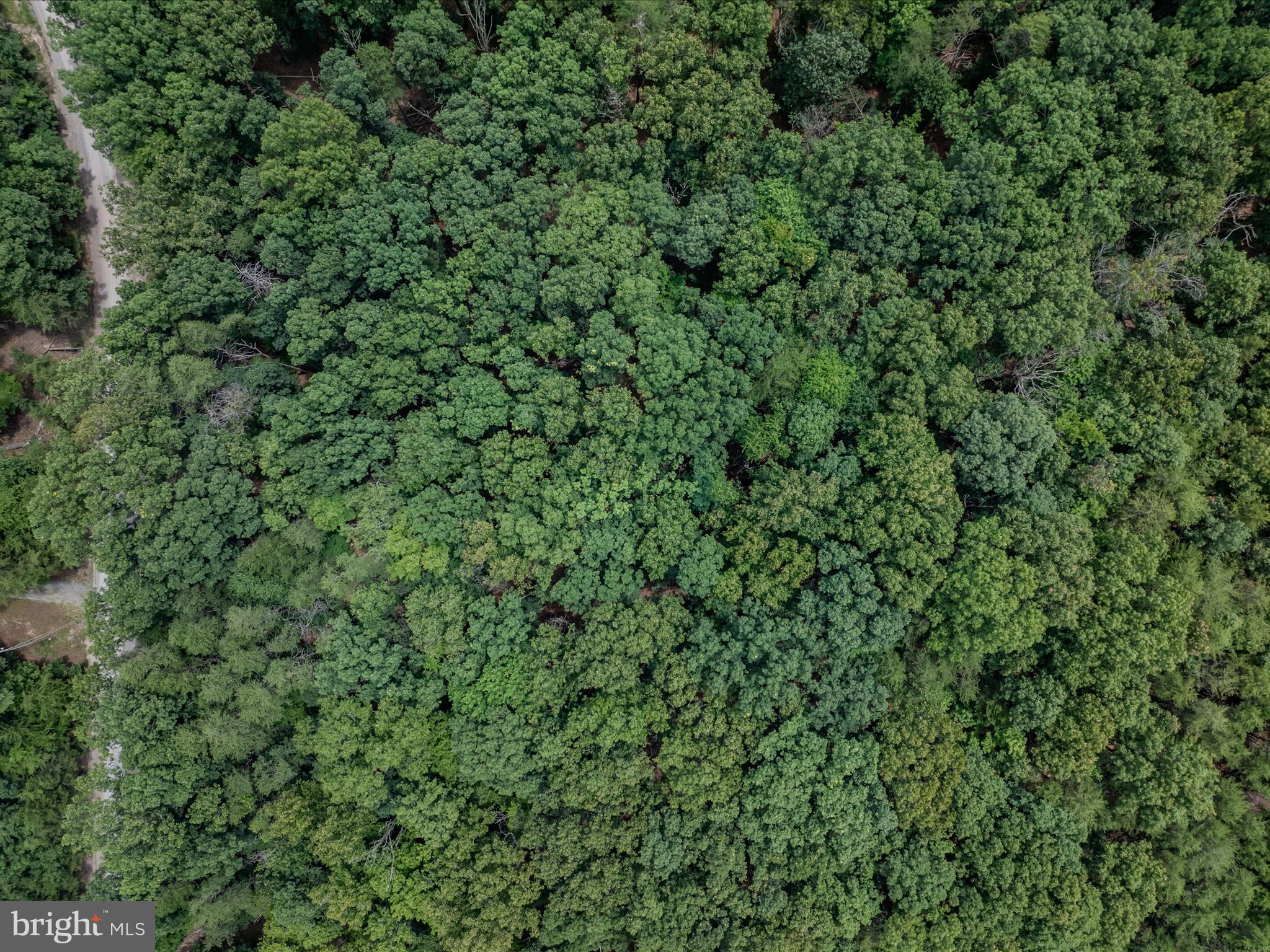 SLEEPY CREEK FARMS - Land