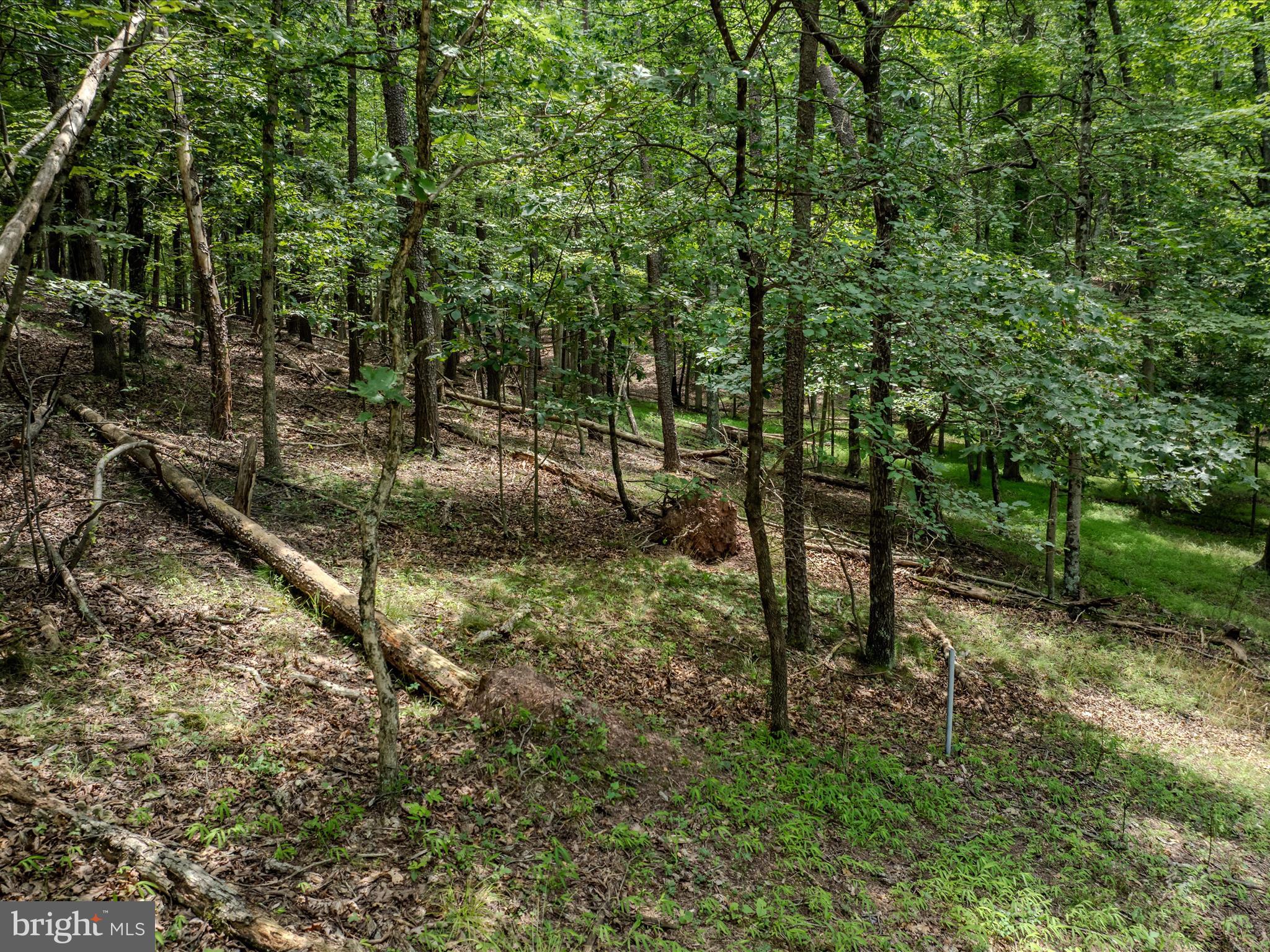 SLEEPY CREEK FARMS - Land