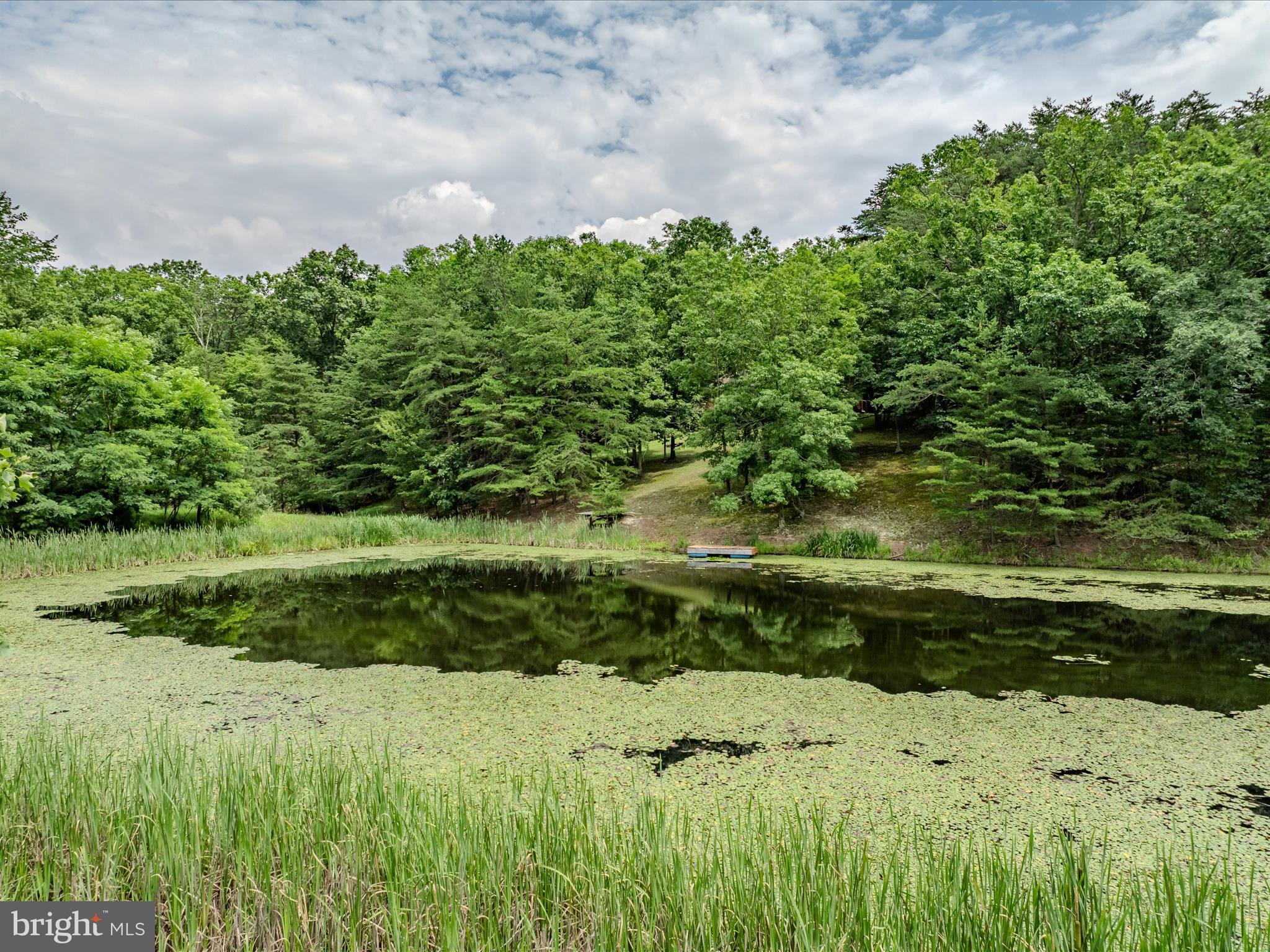 SLEEPY CREEK FARMS - Land