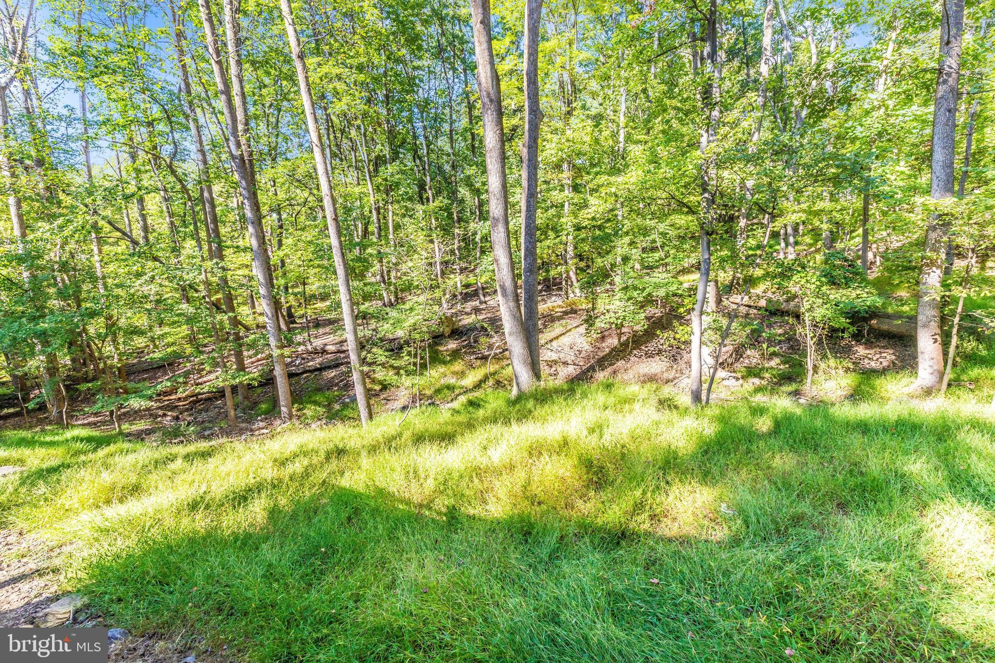 SHANNONDALE - Residential Lease