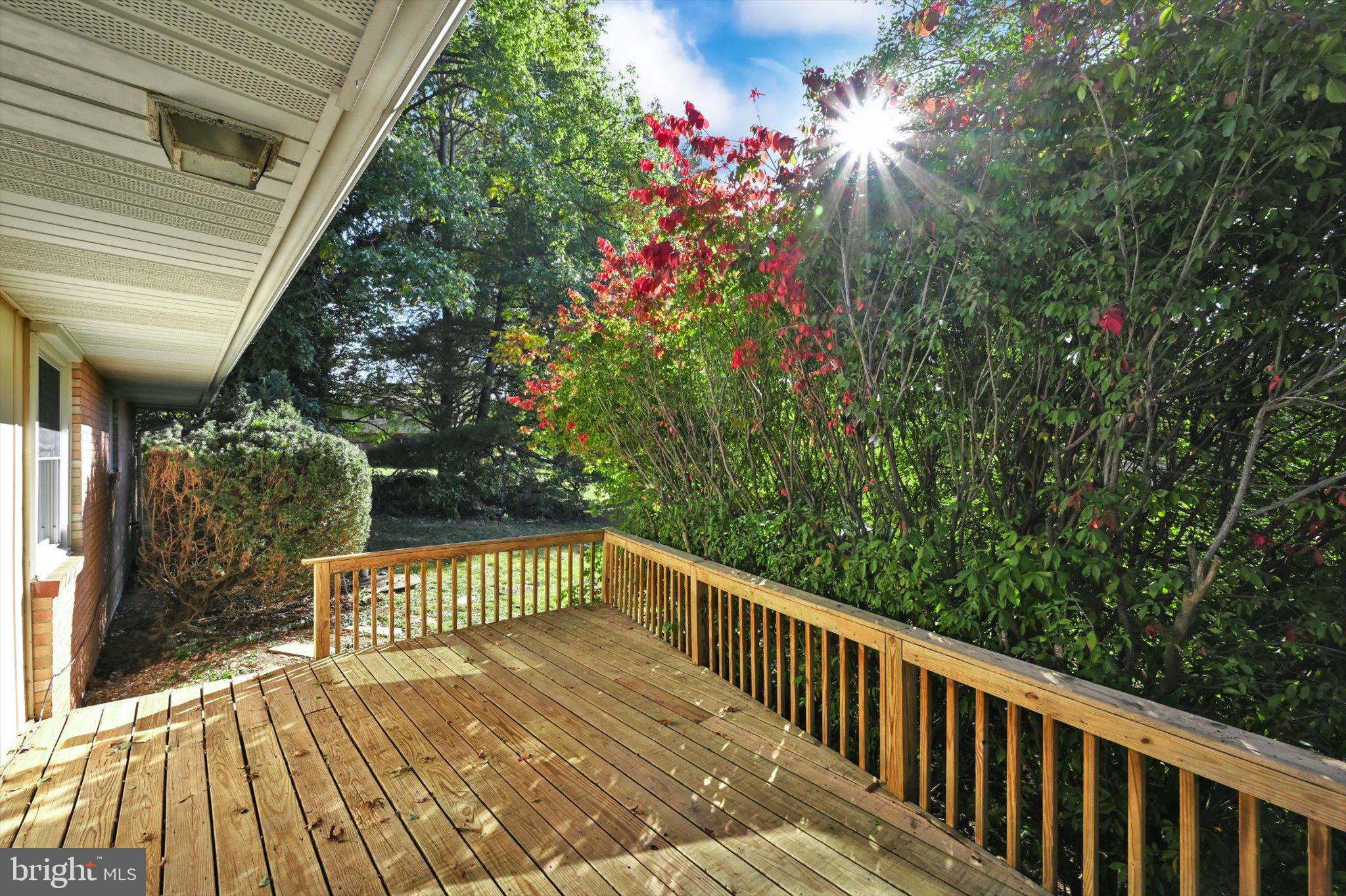 FOREST HILLS - Residential