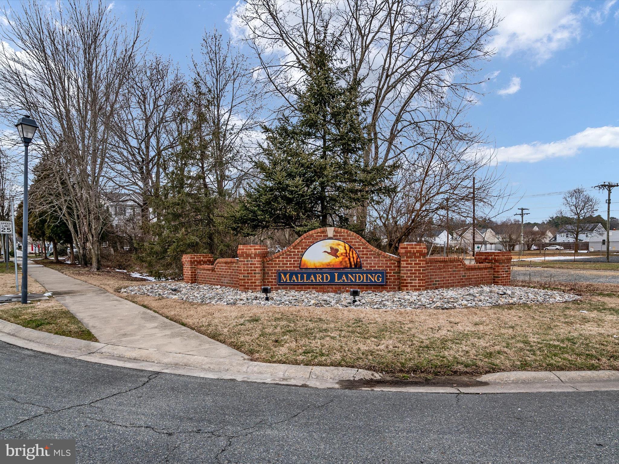 MALLARD LANDING - Residential