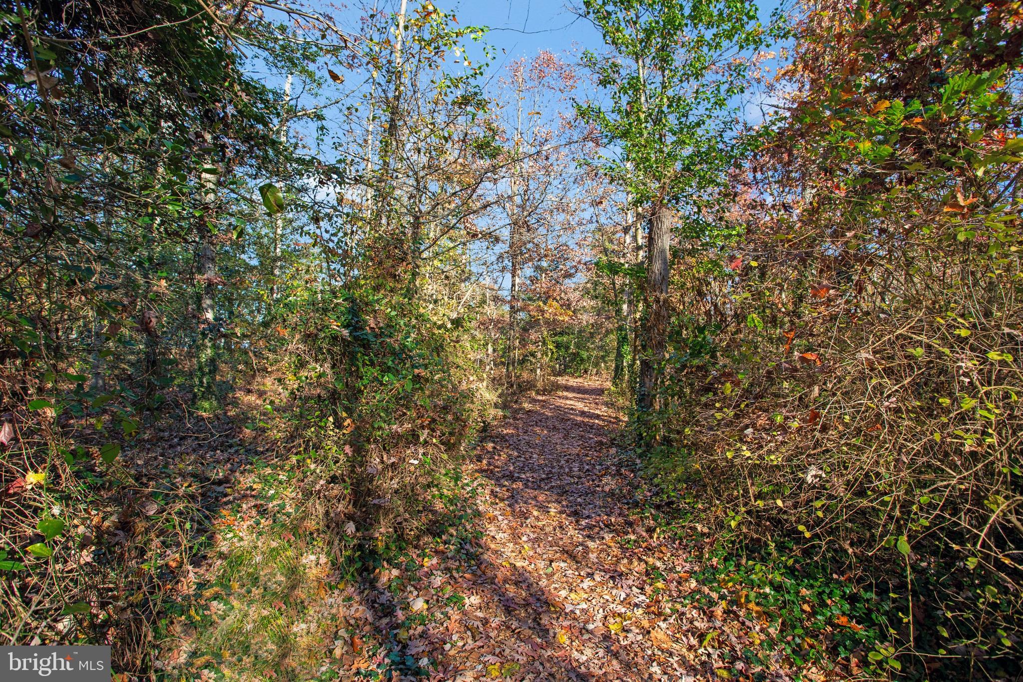 WOODS LANDING - Residential