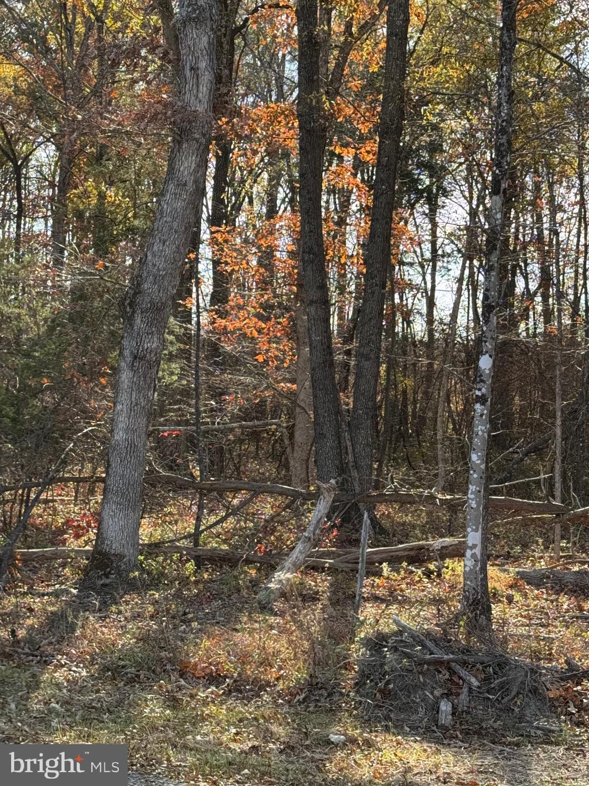 00 BAINES CORNER ROAD