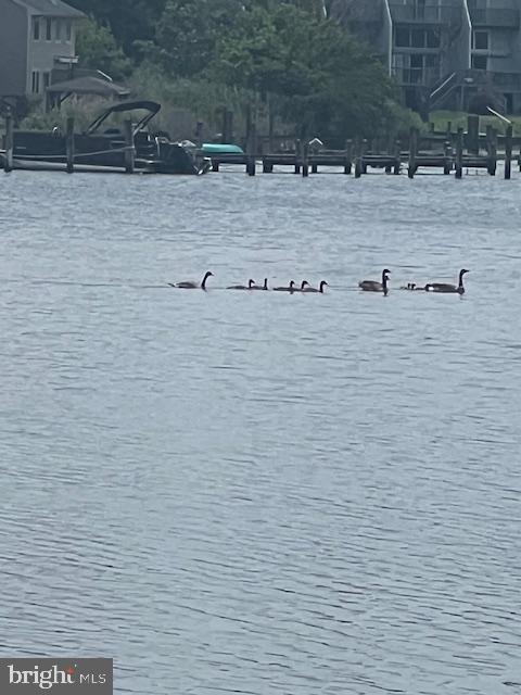 ELLENDALE - Residential