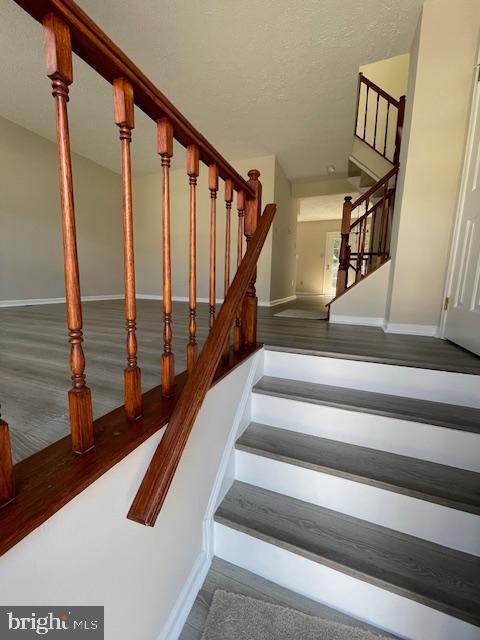 AMBERFIELD - Residential Lease