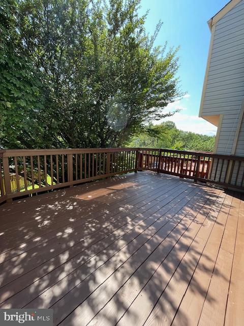 AMBERFIELD - Residential Lease