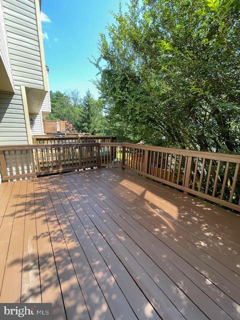 AMBERFIELD - Residential Lease