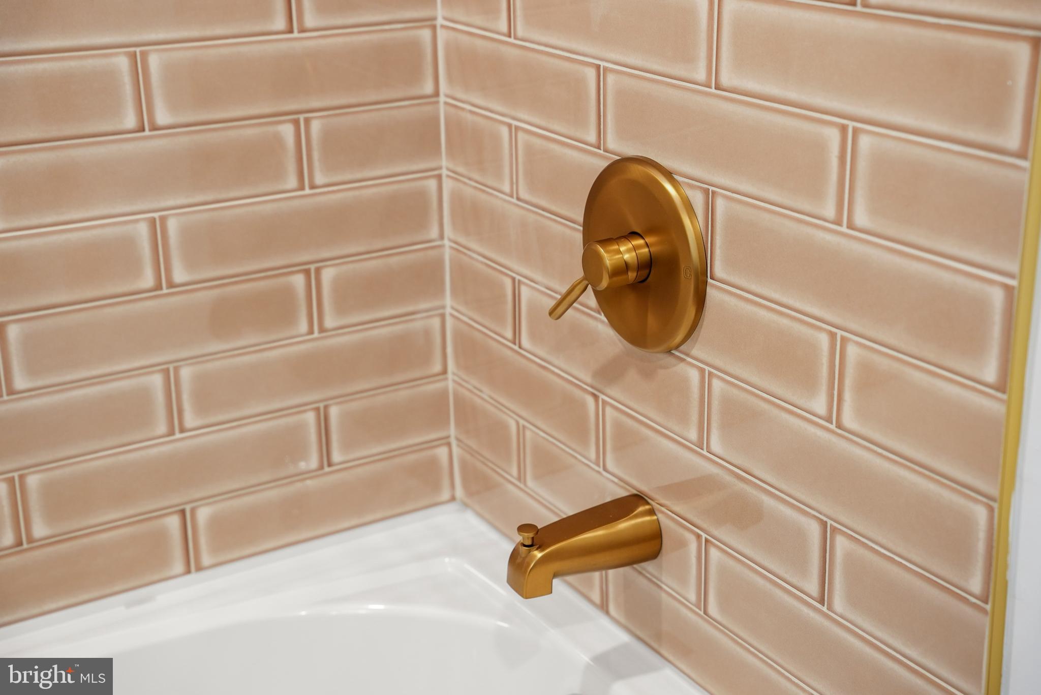 LOWER MOYAMENSING - Residential