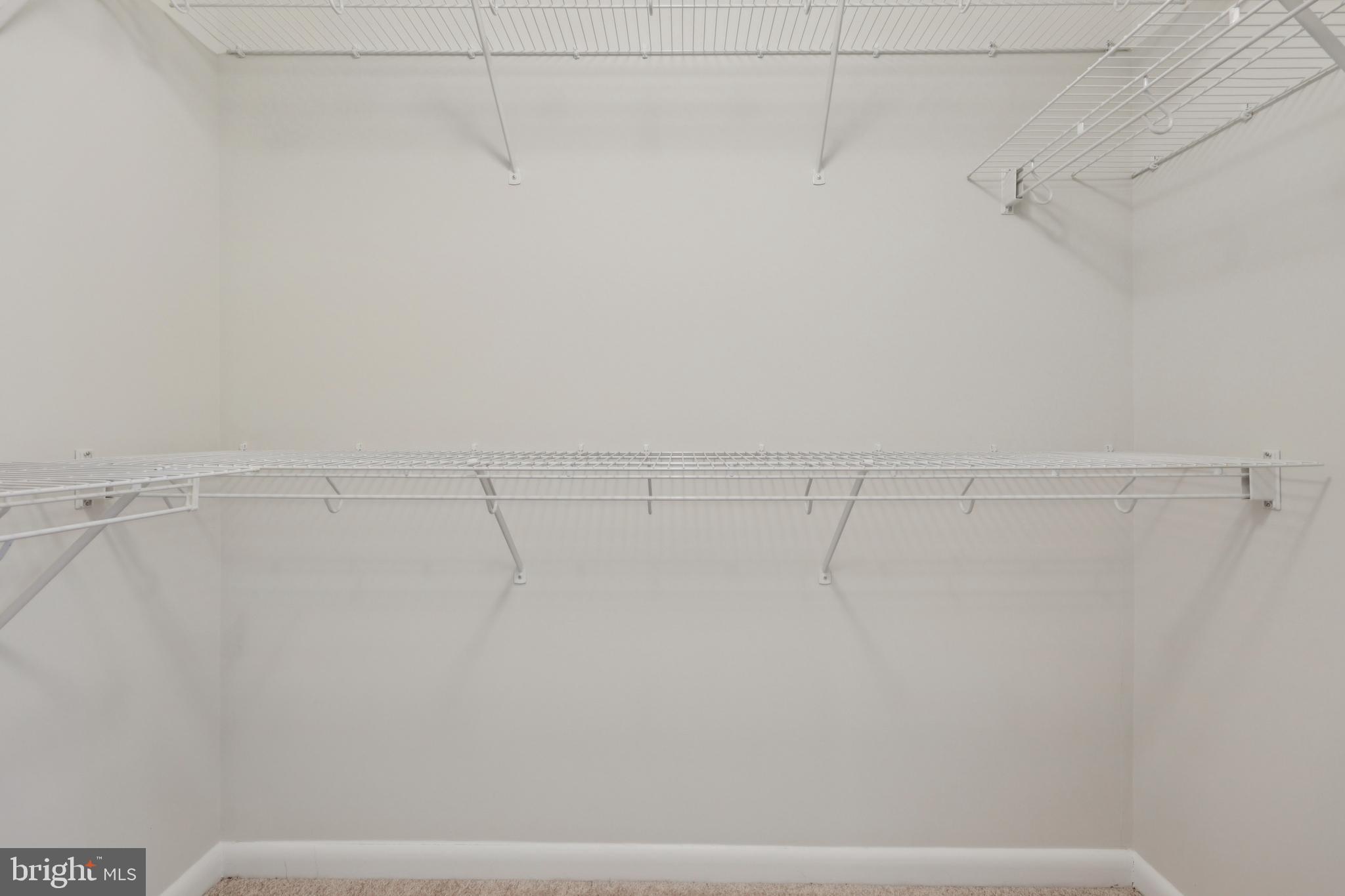 CLARENDON 1021 - Residential