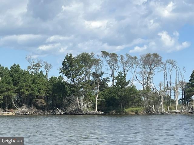 CORN HAMMOCK ISLAND
