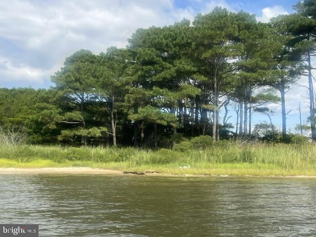 CORN HAMMOCK ISLAND