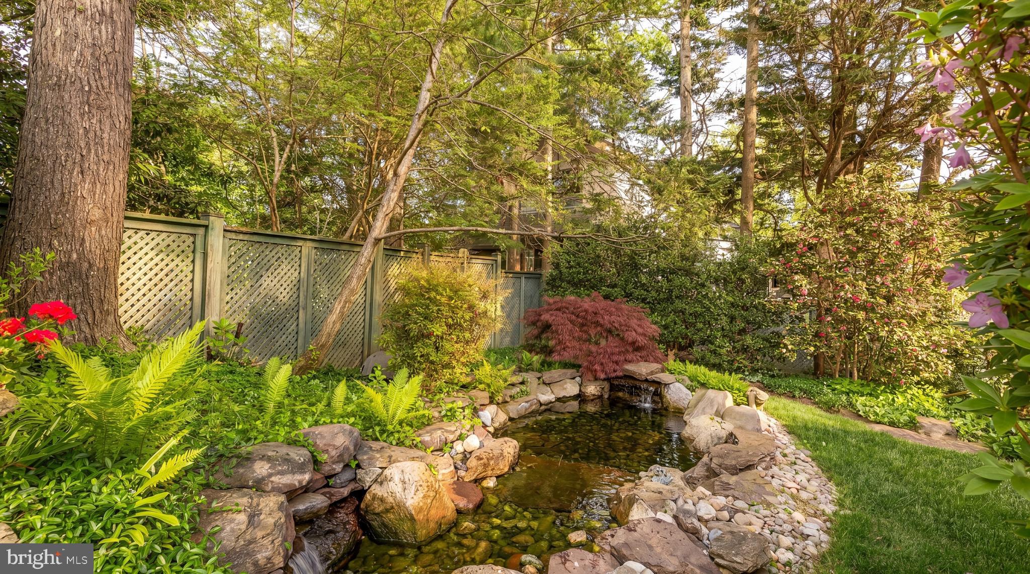 CHEVY CHASE - Residential