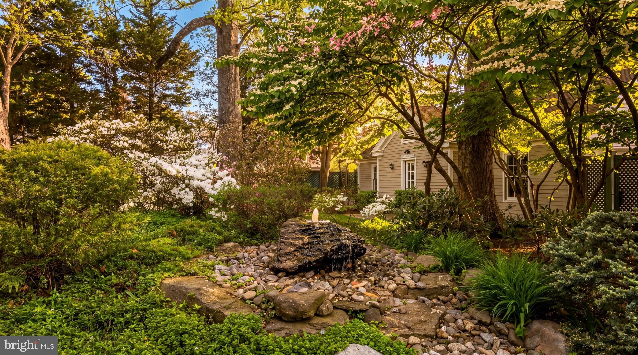 CHEVY CHASE - Residential