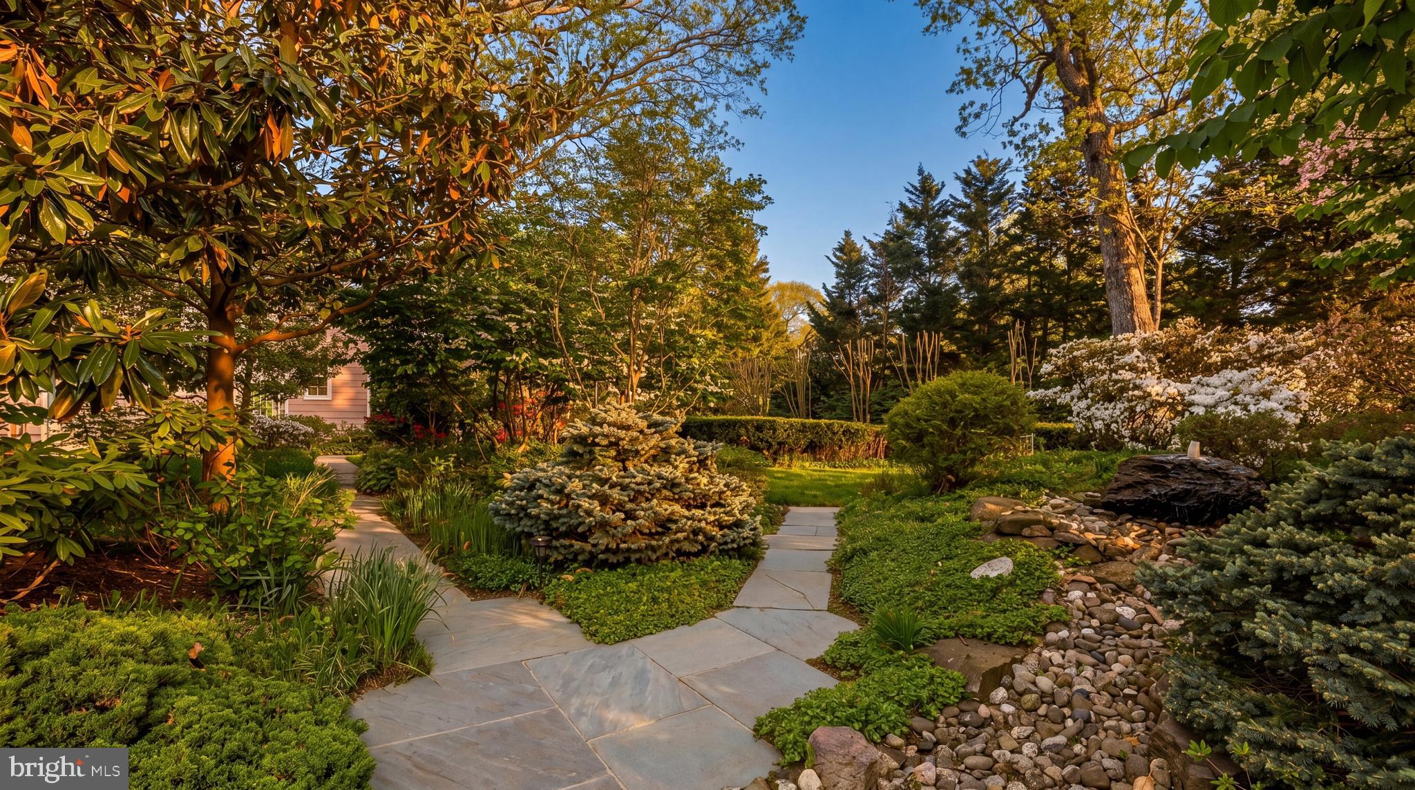 CHEVY CHASE - Residential
