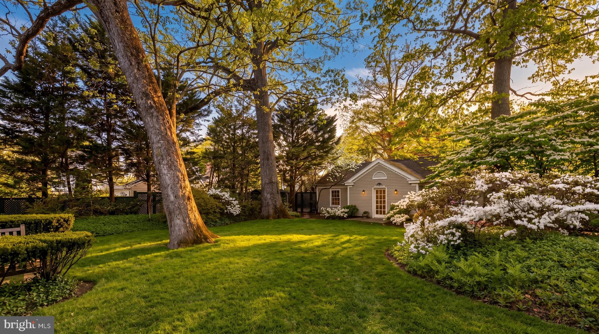 CHEVY CHASE - Residential