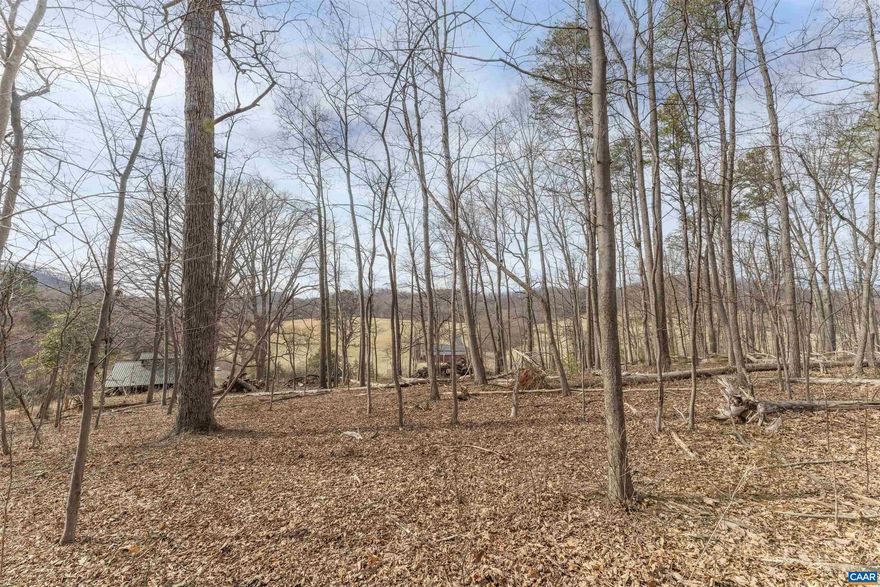 An elevated Bundoran Farm lot with a level homesite located among a mature stand of hardwoods with pastoral winter views across the farm's bucolic rolling hills.  At the foot of Tom Mountain, this parcel is conveniently located to one of the best trails of the farm?s 14 acres trail system. A strong well and most of the driveway (community maintained) are already in place giving a buyer a head start on the building process. Tucked away in the secluded Edge Valley, one of the county?s prettiest areas, the parcel is shielded from road noise, yet only 15 minutes to town.  A true rarity!