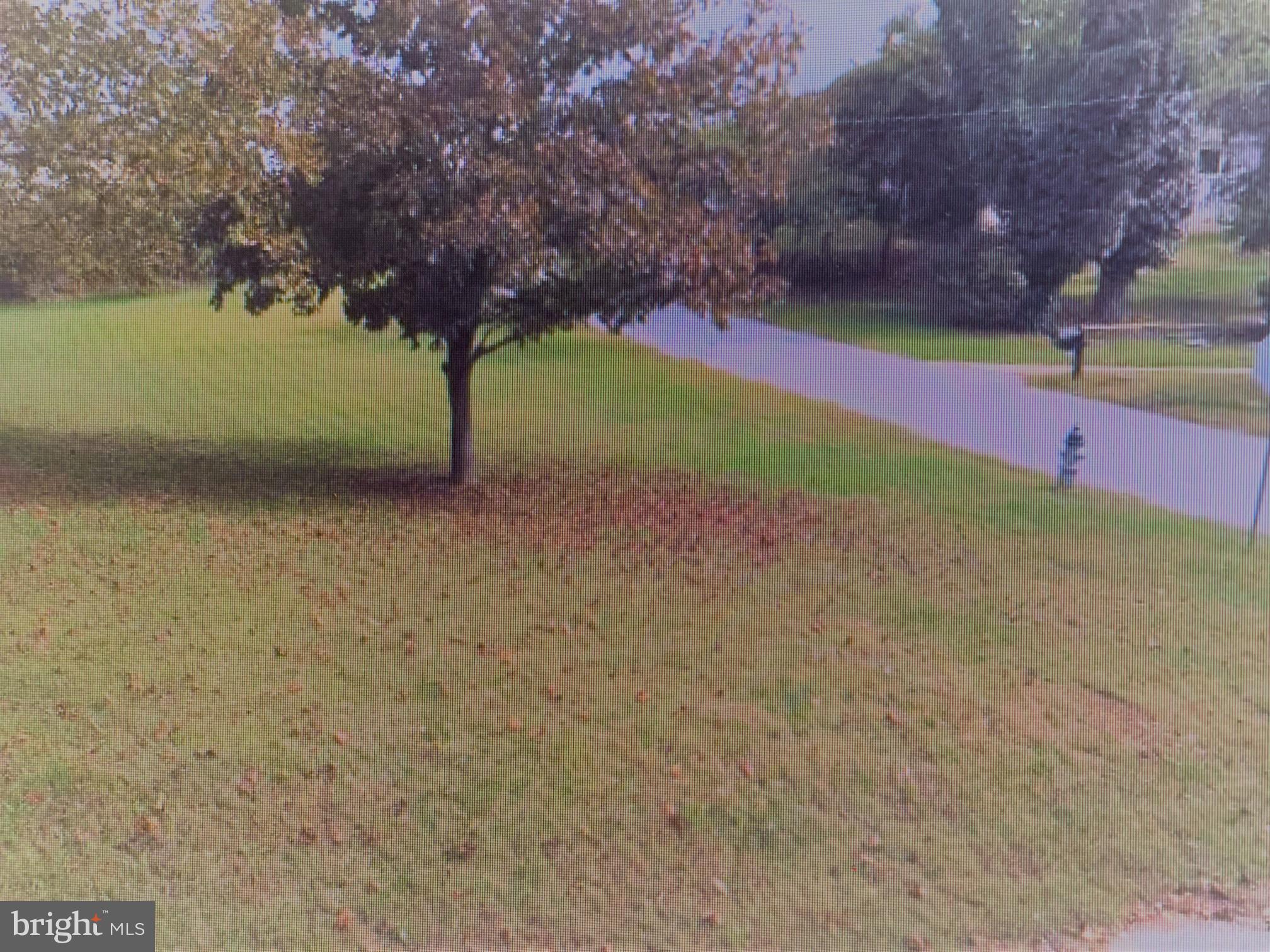 GEORGE THORNE ESTATE - Land