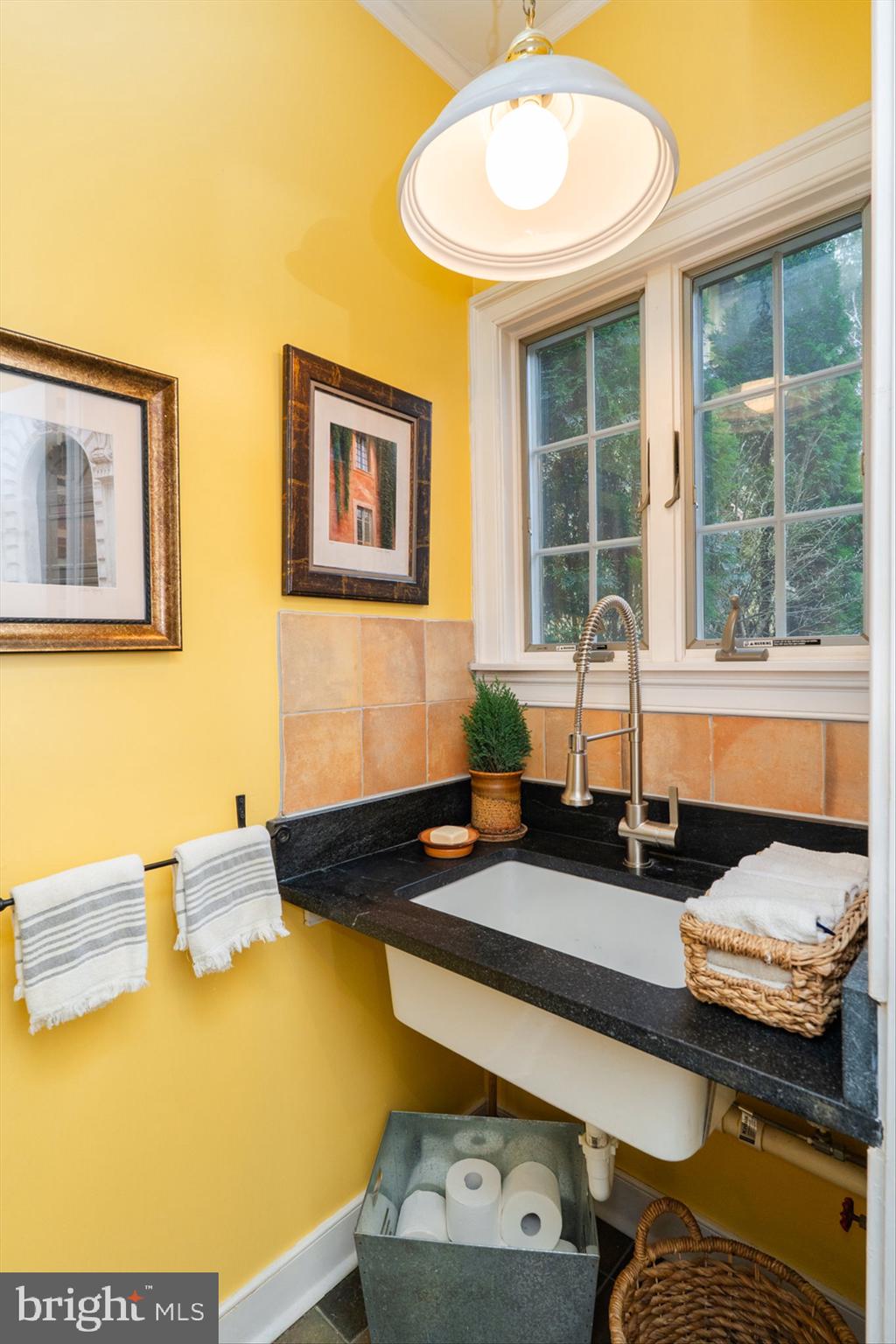 CORPORATION OF SHEPHERDSTOWN - Residential