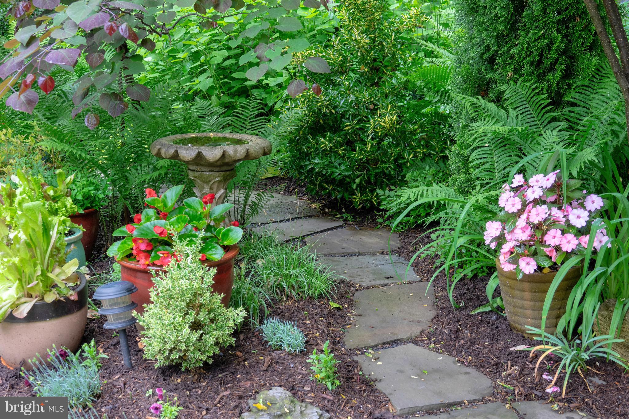 CORPORATION OF SHEPHERDSTOWN - Residential