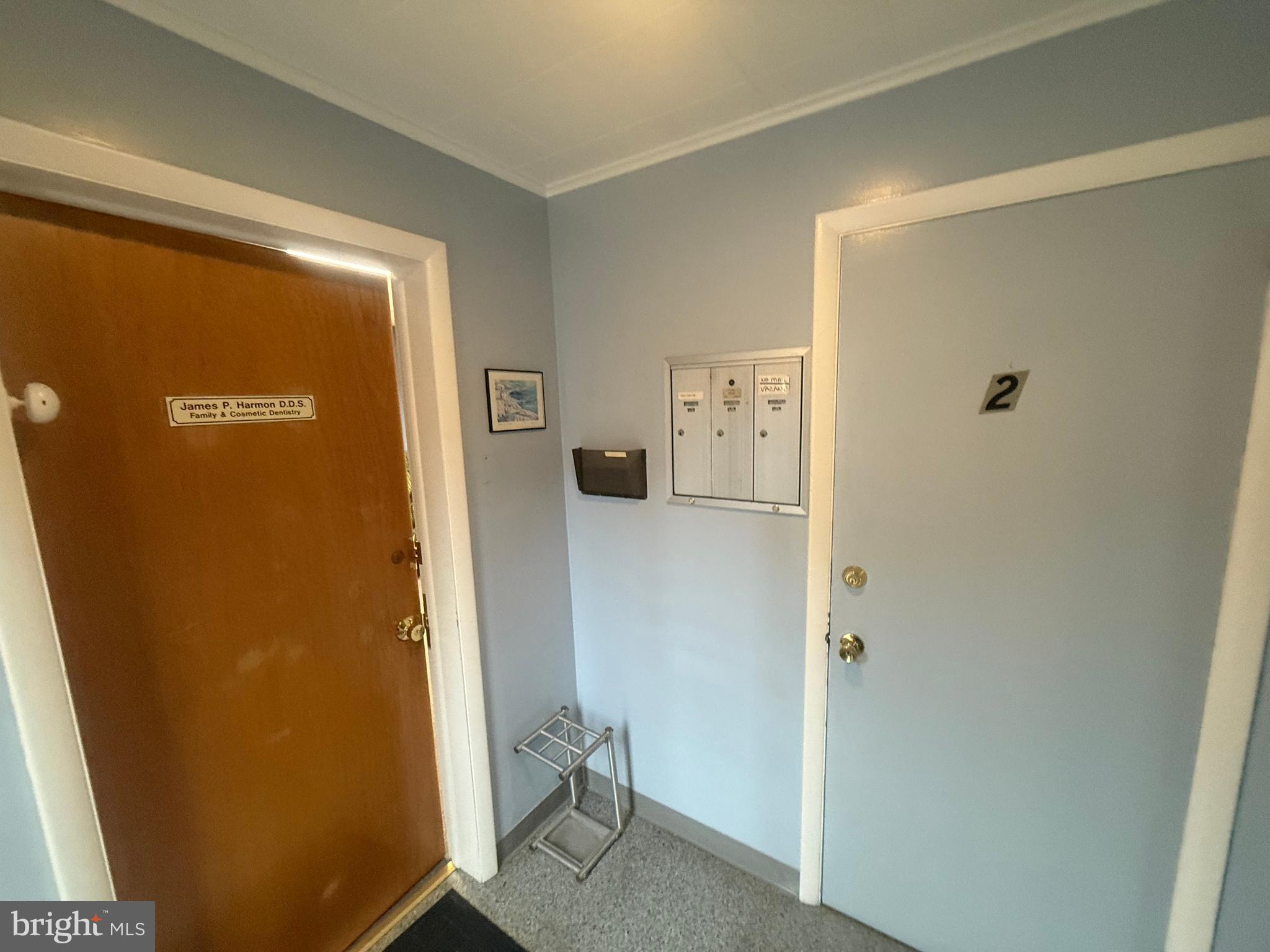 CHESTNUT HILL - Commercial Sale