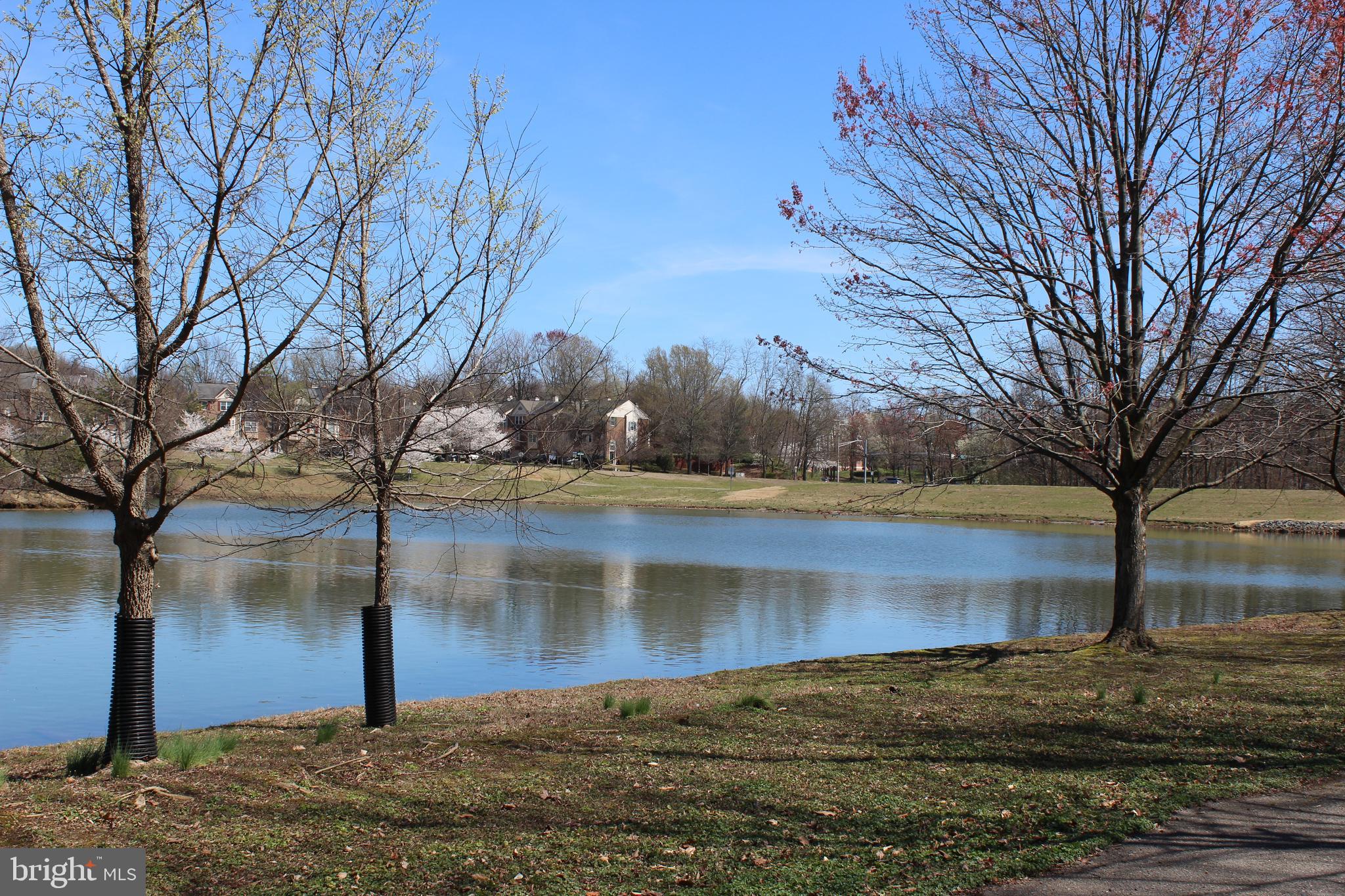 BOWIE TOWERS - Residential