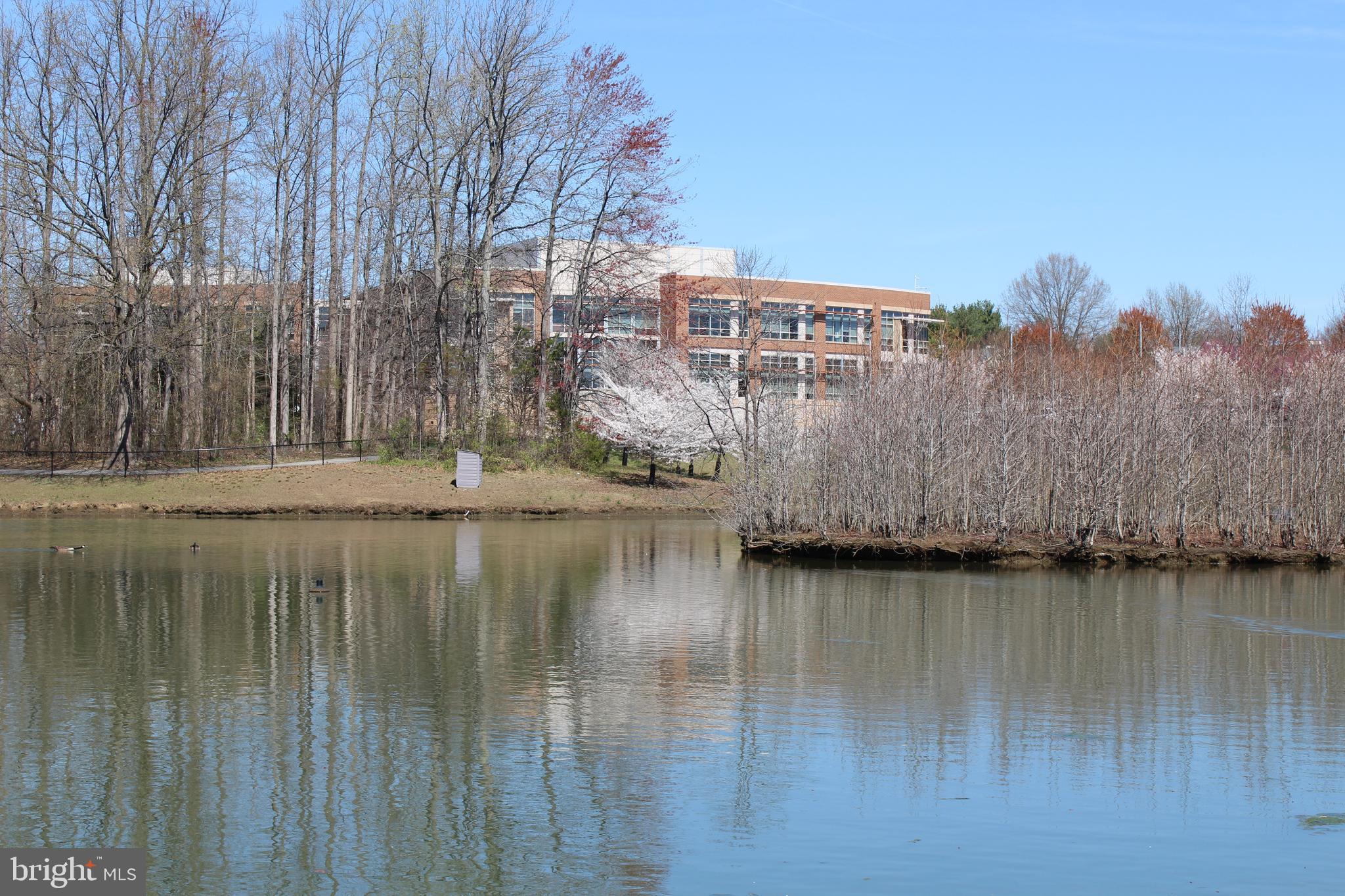 BOWIE TOWERS - Residential