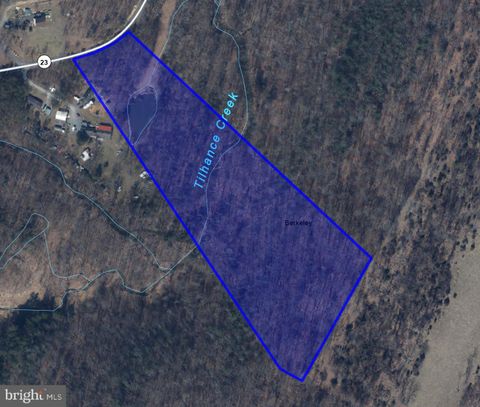 Vacant Land For Sale - 12.79 AC Butts Mill Road<br/> Berkeley County, HEDGESVILLE, WV 25427