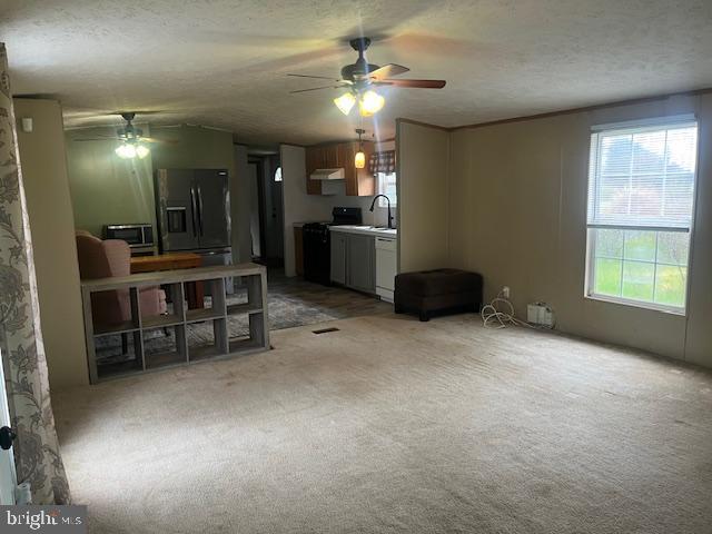 LAZY ACRES MHP - Residential