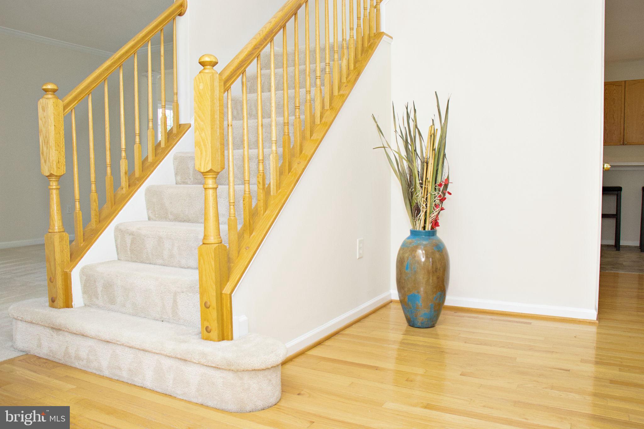 SPRUCE HILL ESTATES - Residential