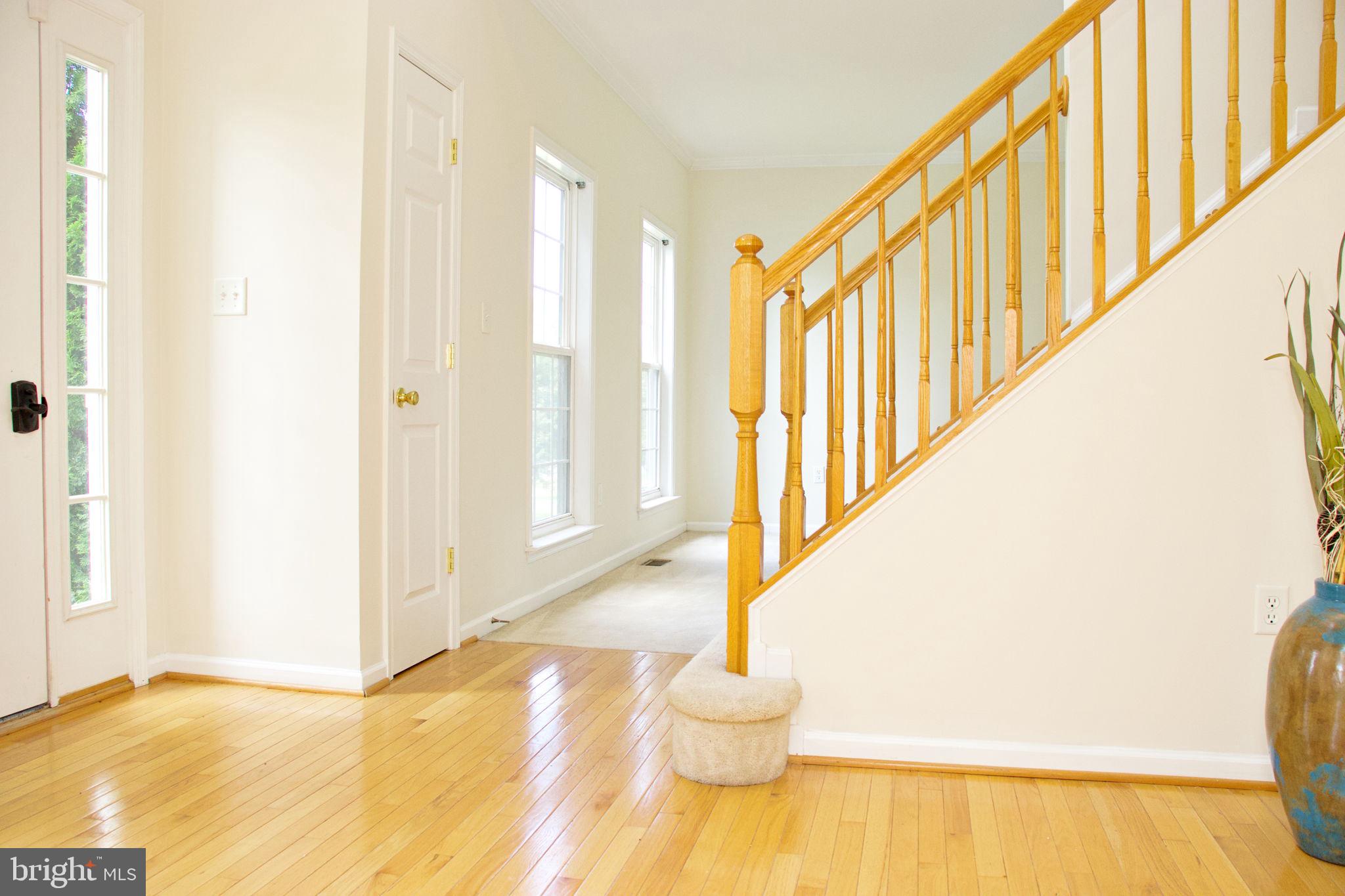 SPRUCE HILL ESTATES - Residential