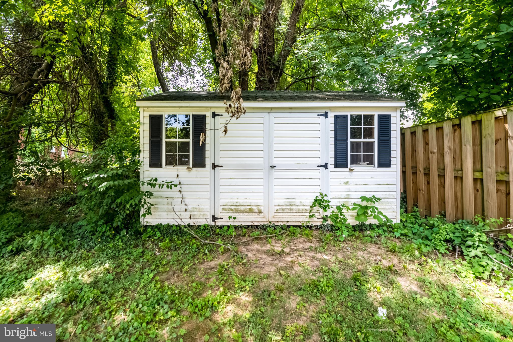 MOUNT RAINIER - Residential