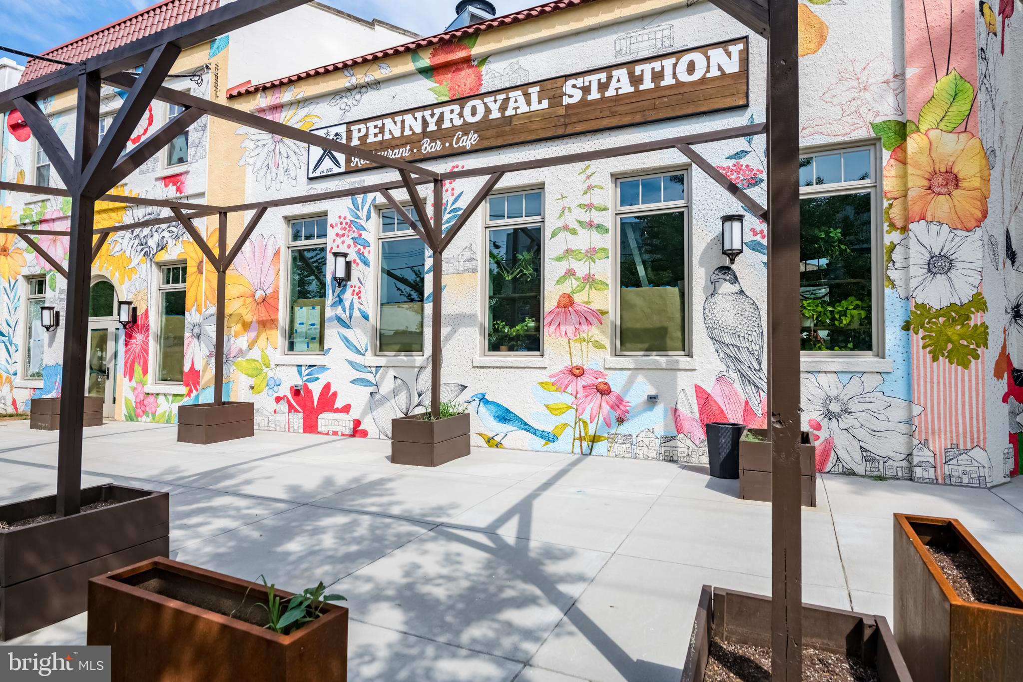 MOUNT RAINIER - Residential