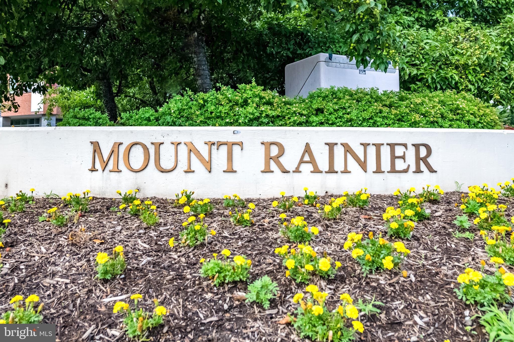 MOUNT RAINIER - Residential