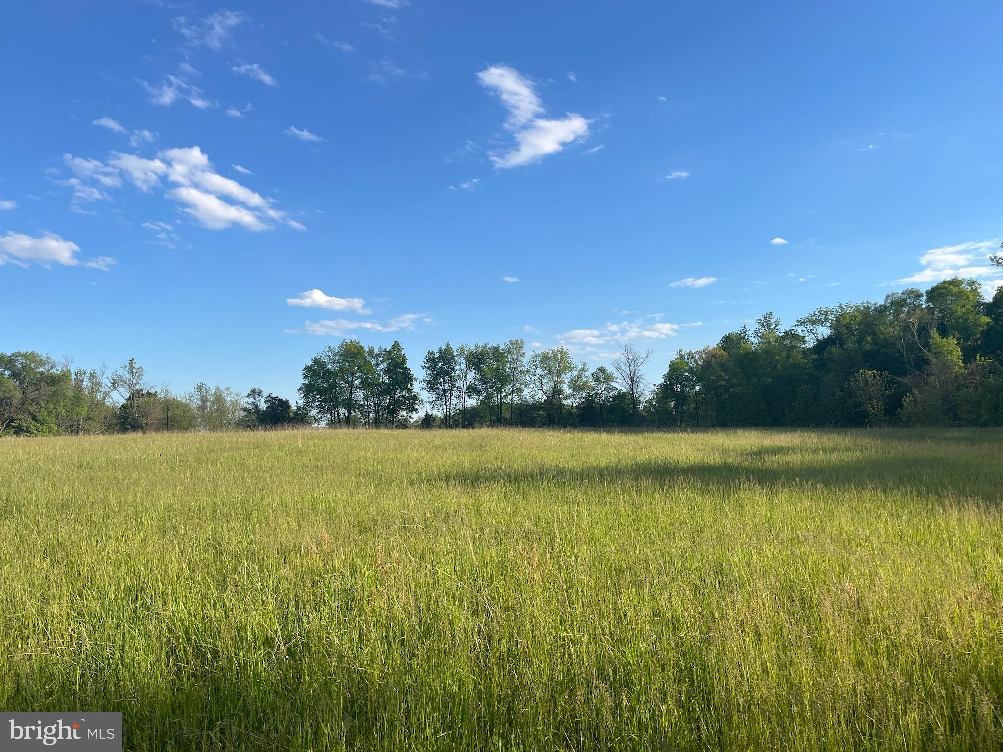 TANEYTOWN ROAD