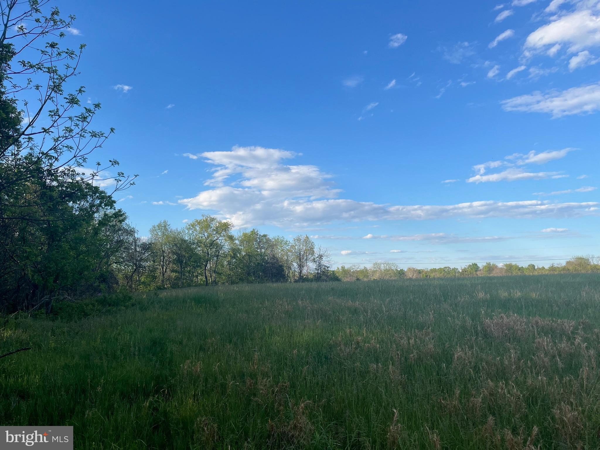 TANEYTOWN ROAD