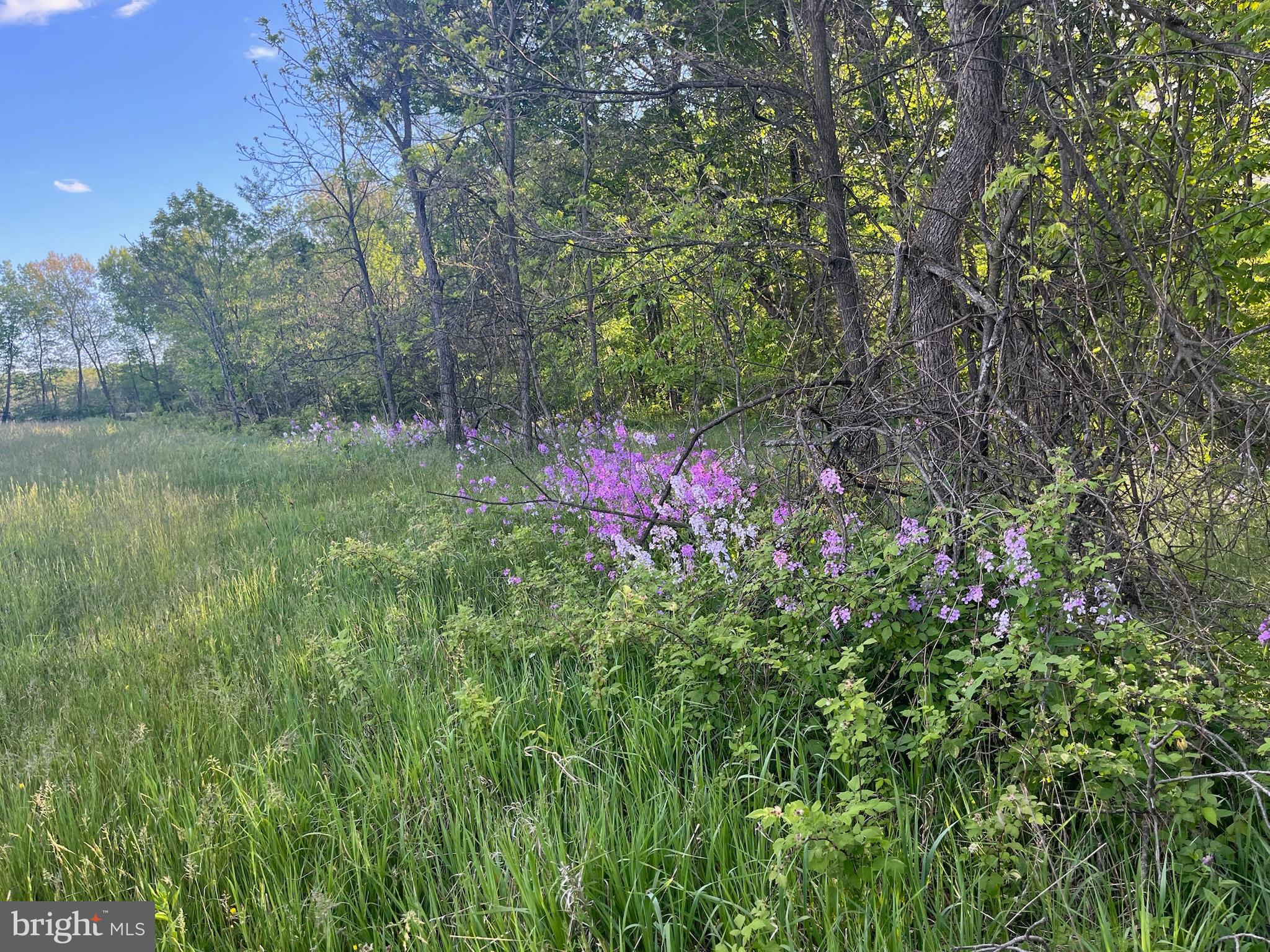 TANEYTOWN ROAD